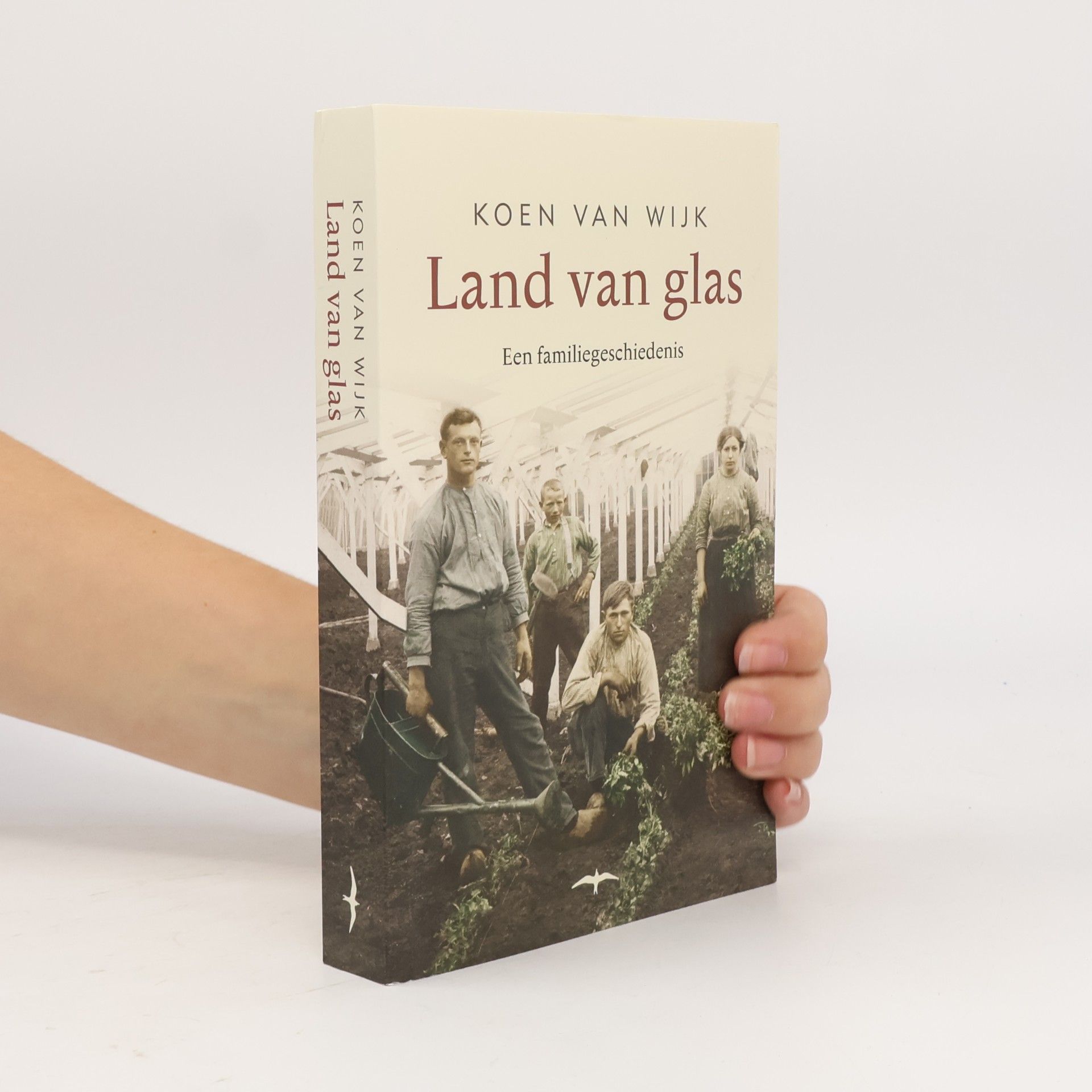 Koen van Wijk Land van glas