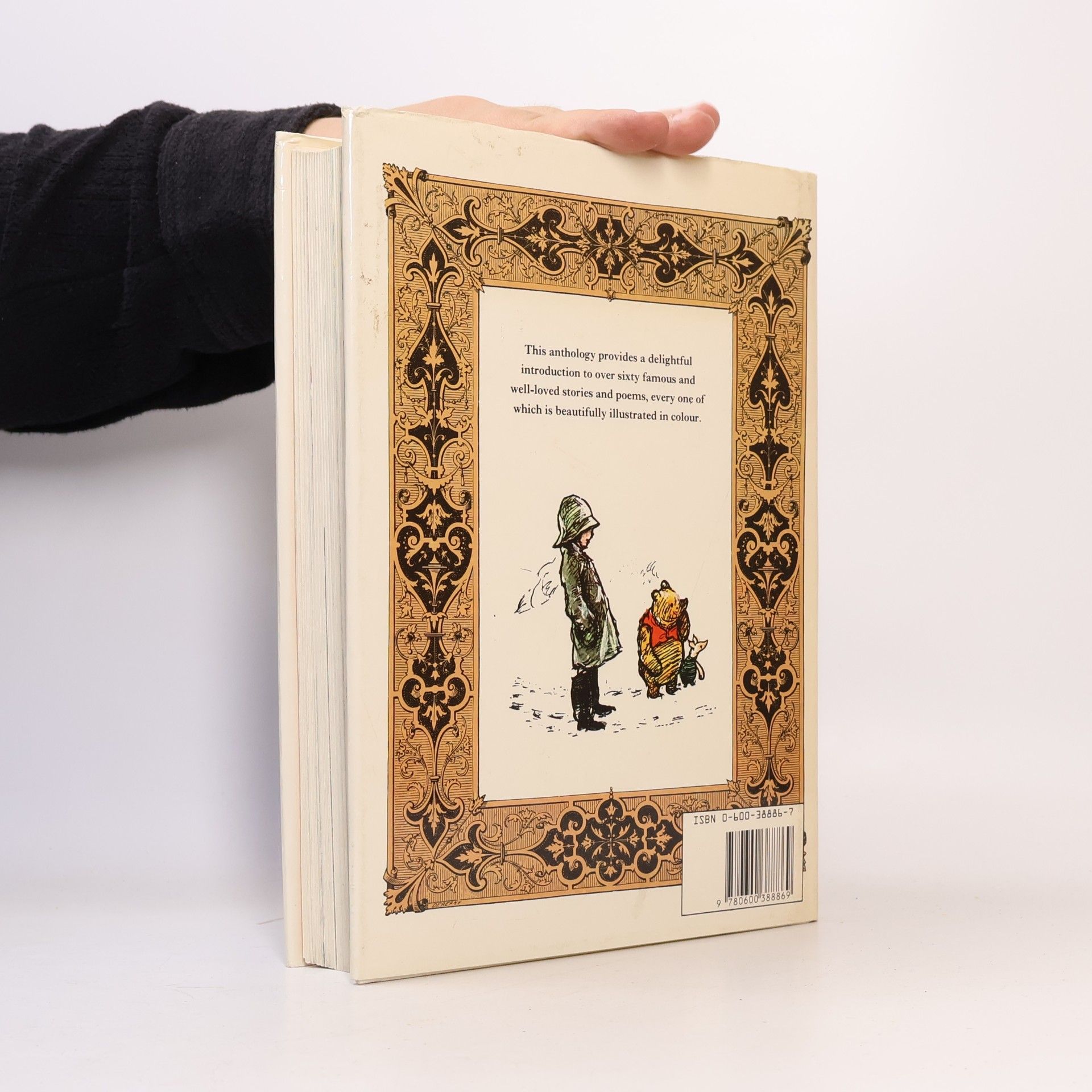Autorenkollektiv Treasury of Literature for Children