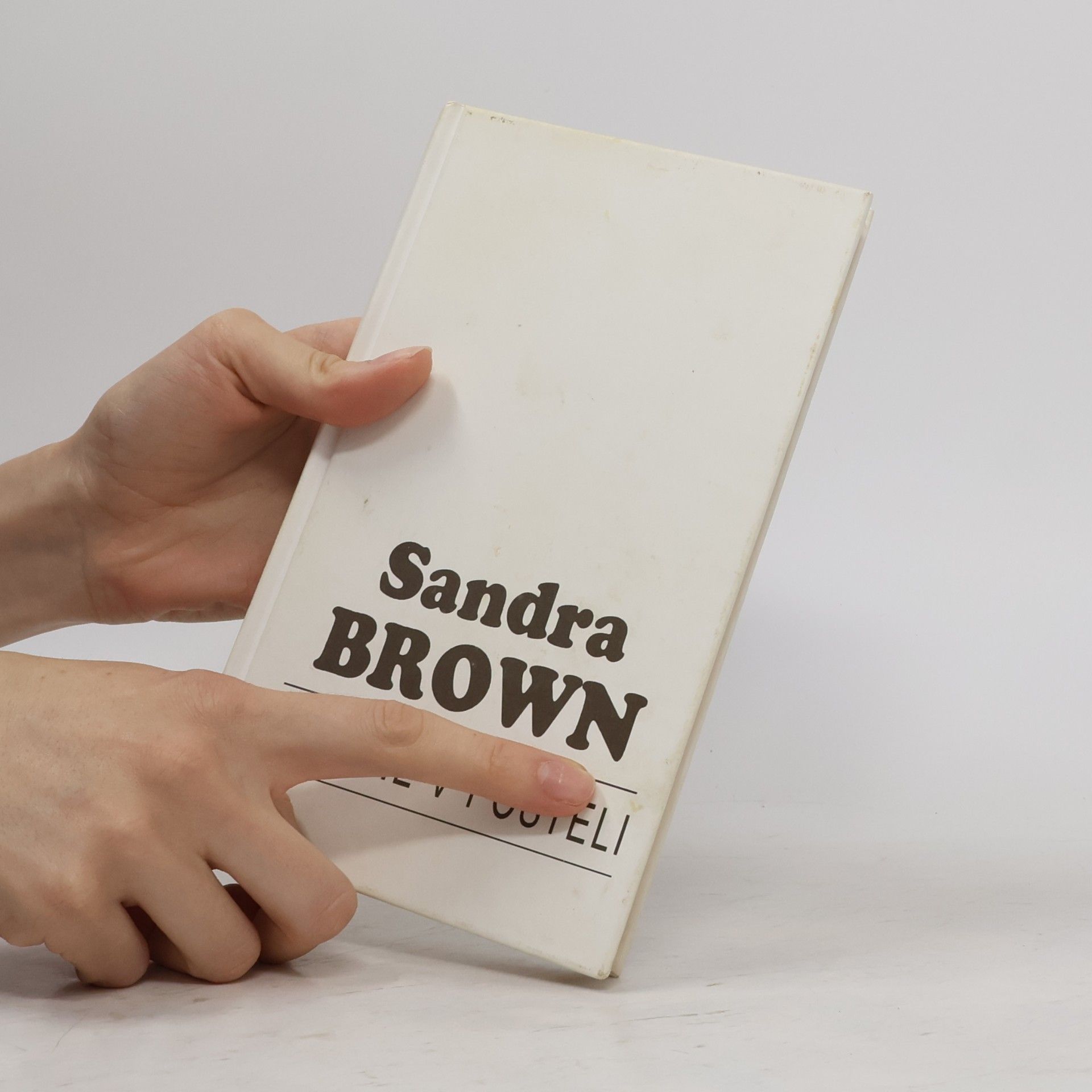 Sandra Brown Snídaně v posteli