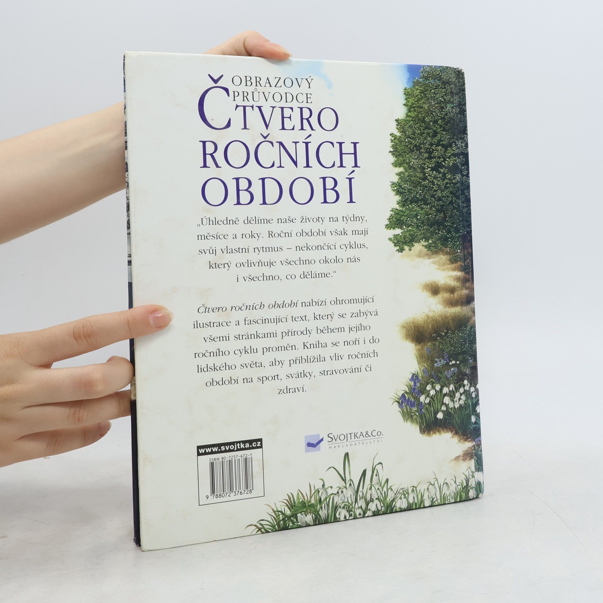 Sally Tagholm Obrazový průvodce : Čtvero ročních období pro školáky i předškoláky