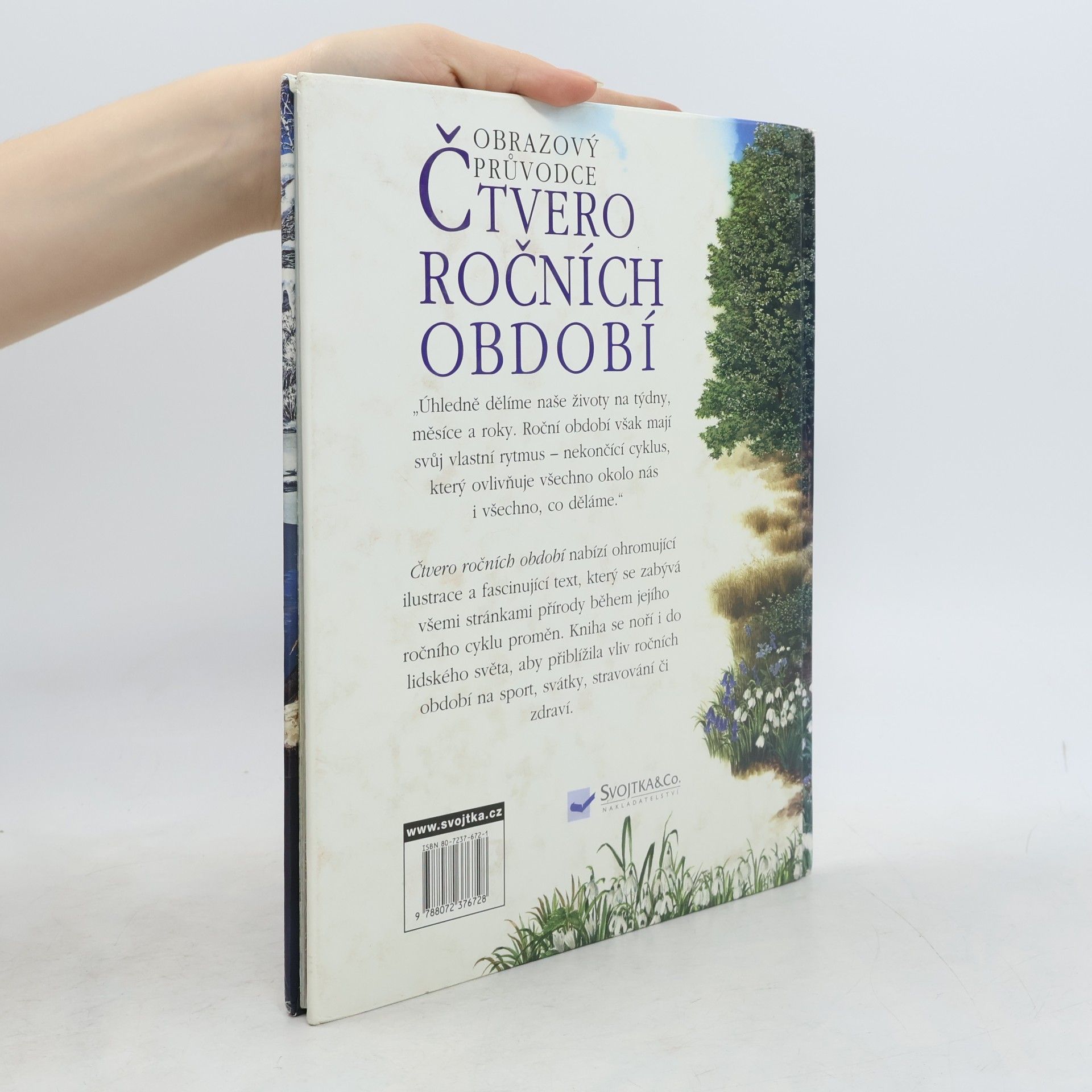 Sally Tagholm Obrazový průvodce : Čtvero ročních období pro školáky i předškoláky