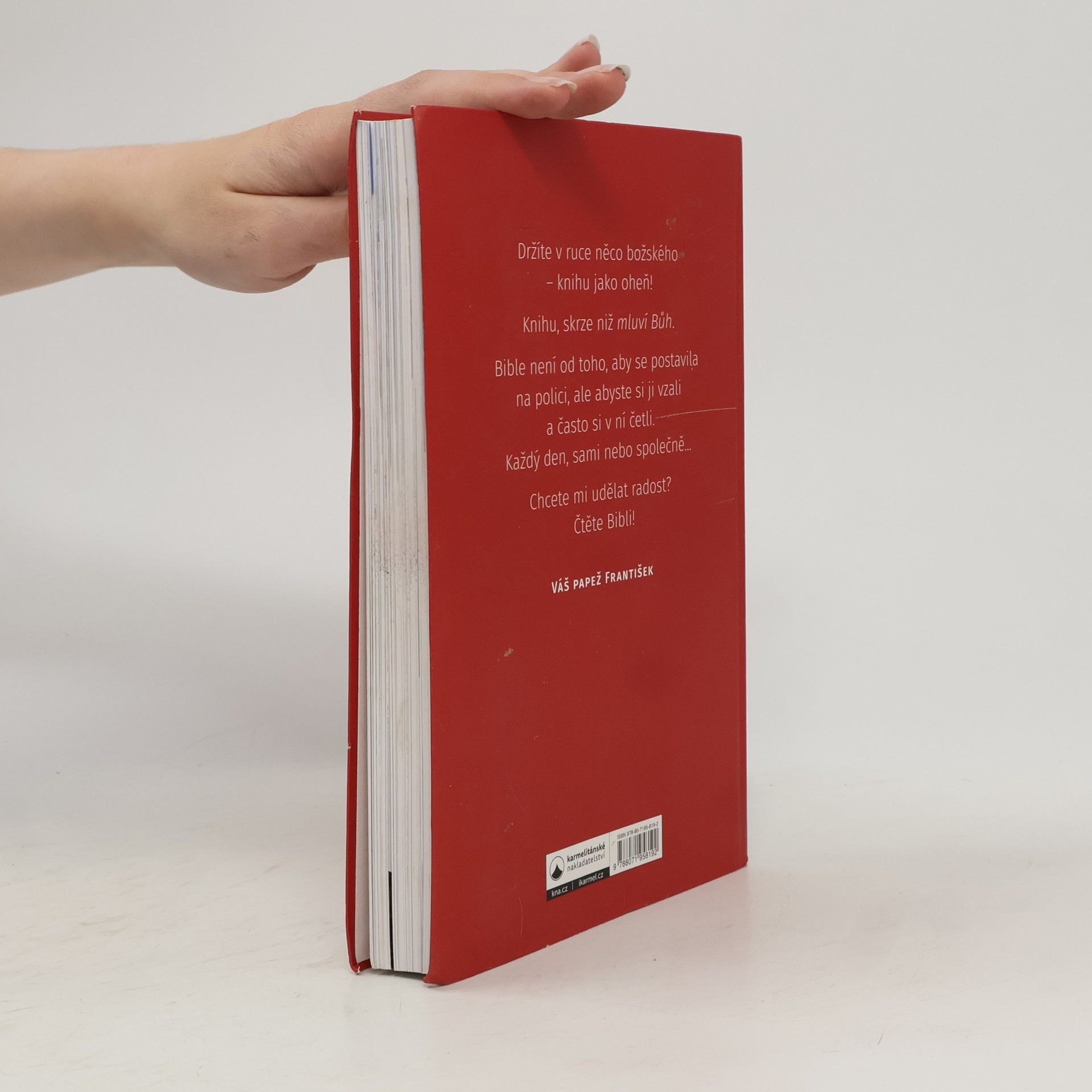 Autorenkollektiv Youcat - bible