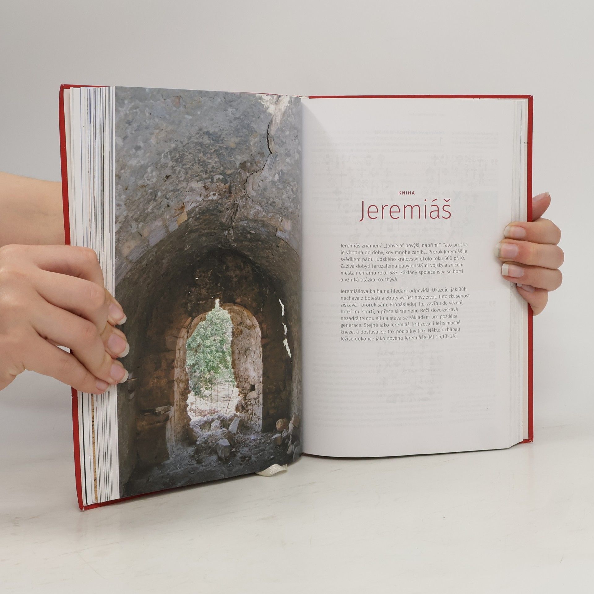 Autorenkollektiv Youcat - bible