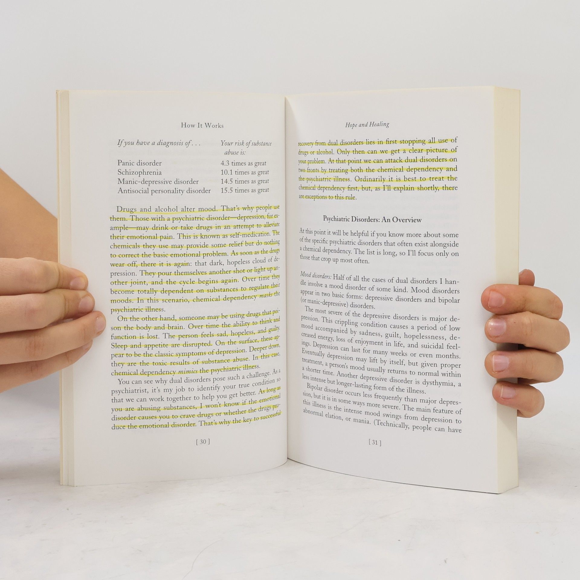 Collectif d'auteurs The Dual Disorders Recovery Book