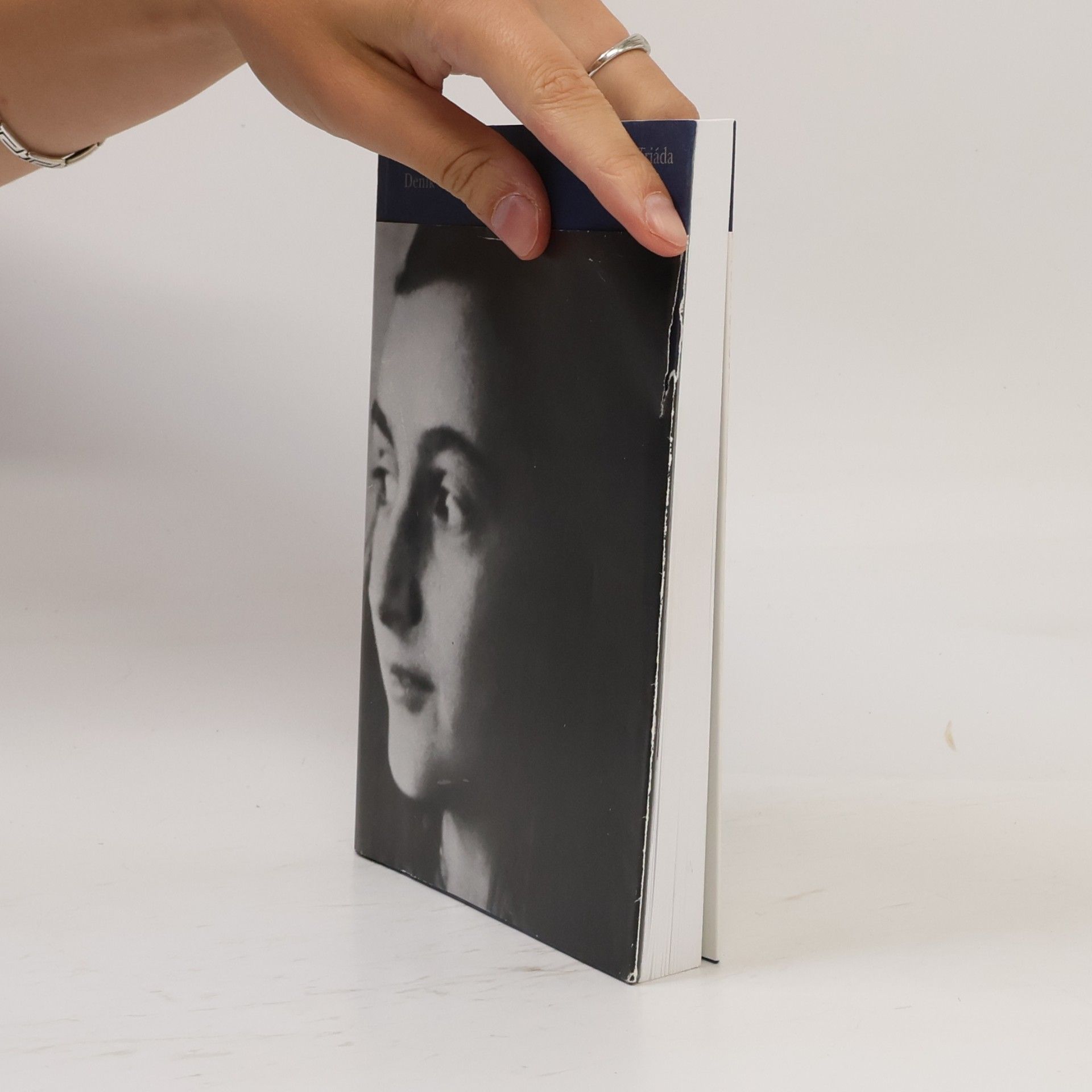 Anne Frank Deník