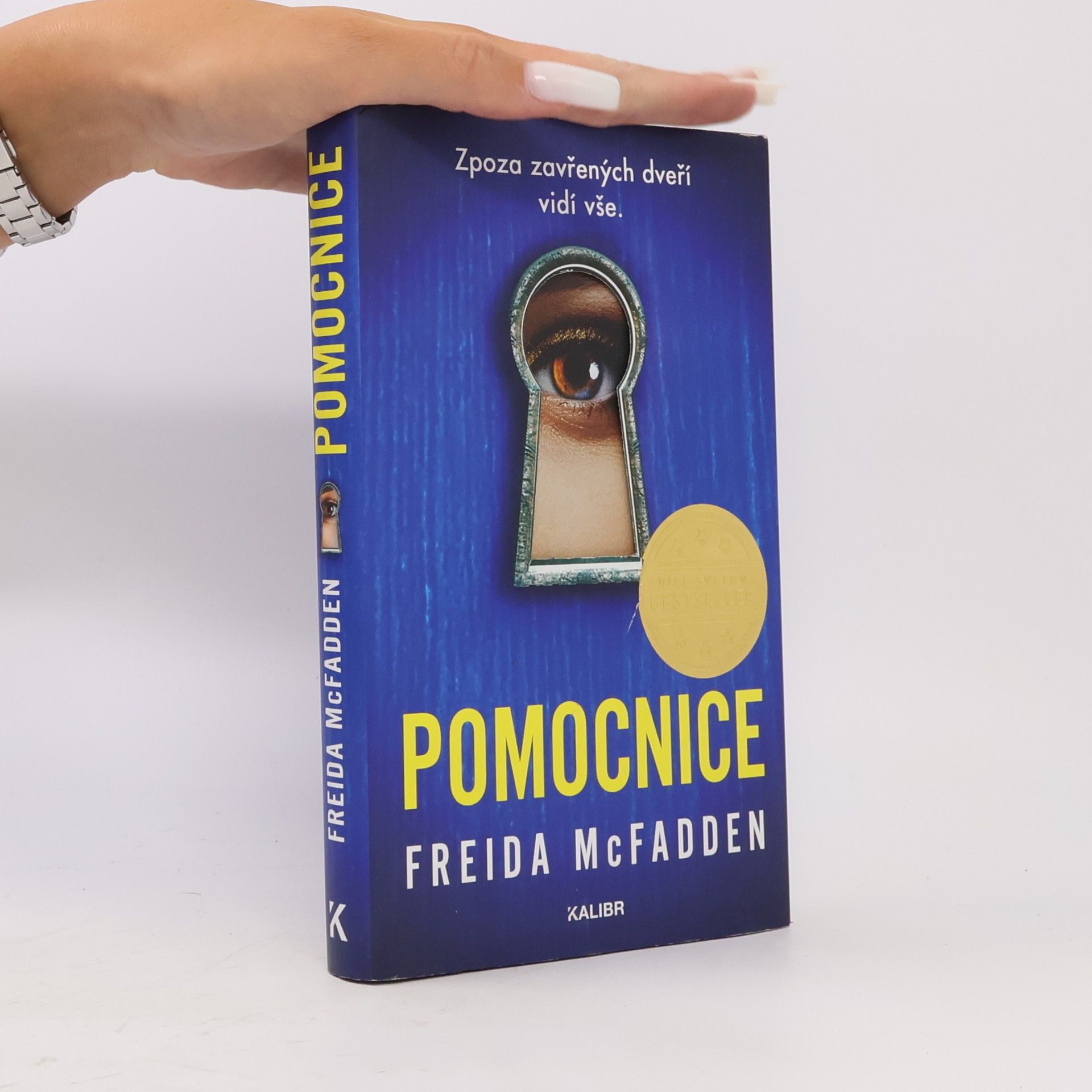 Freida McFadden Pomocnice