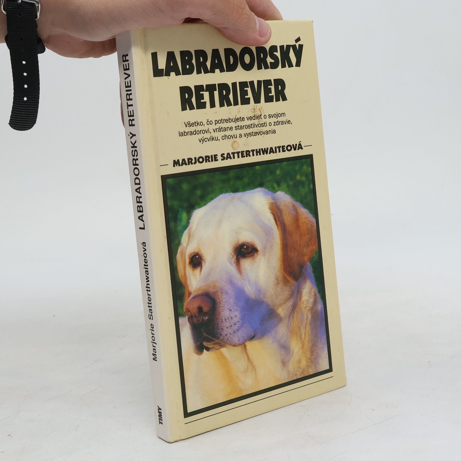 Marjorie Satterthwaite Labradorský retriever