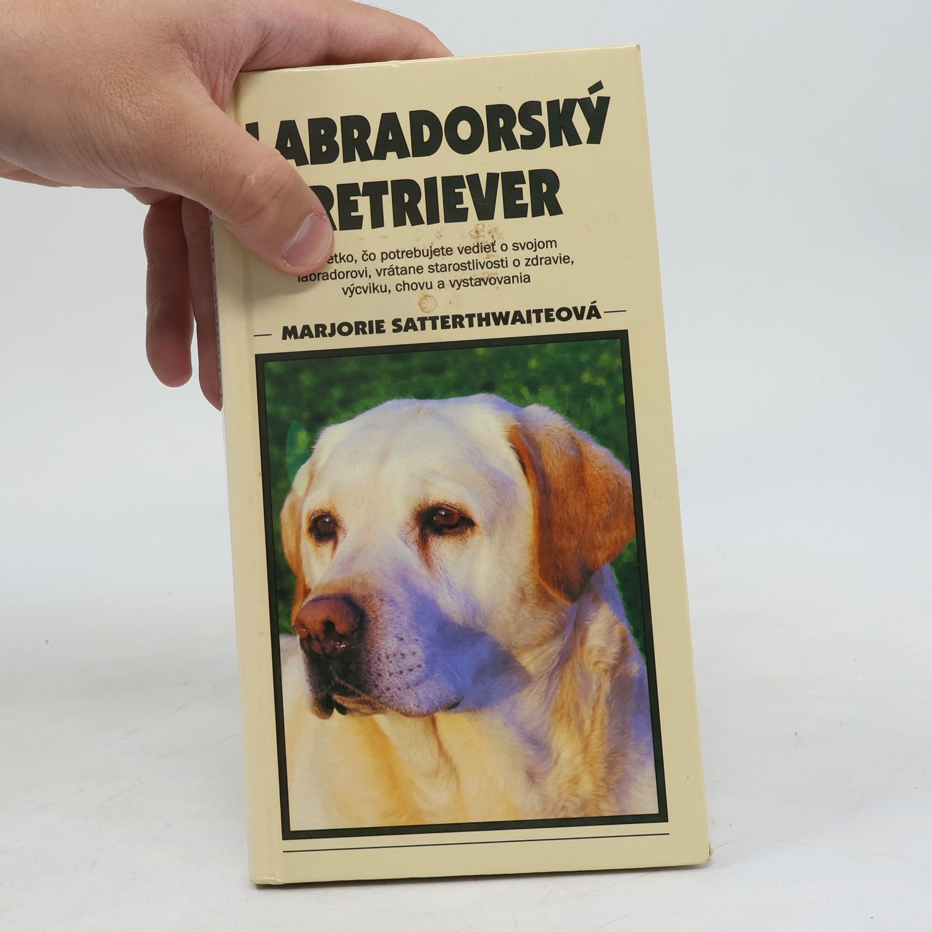 Marjorie Satterthwaite Labradorský retriever
