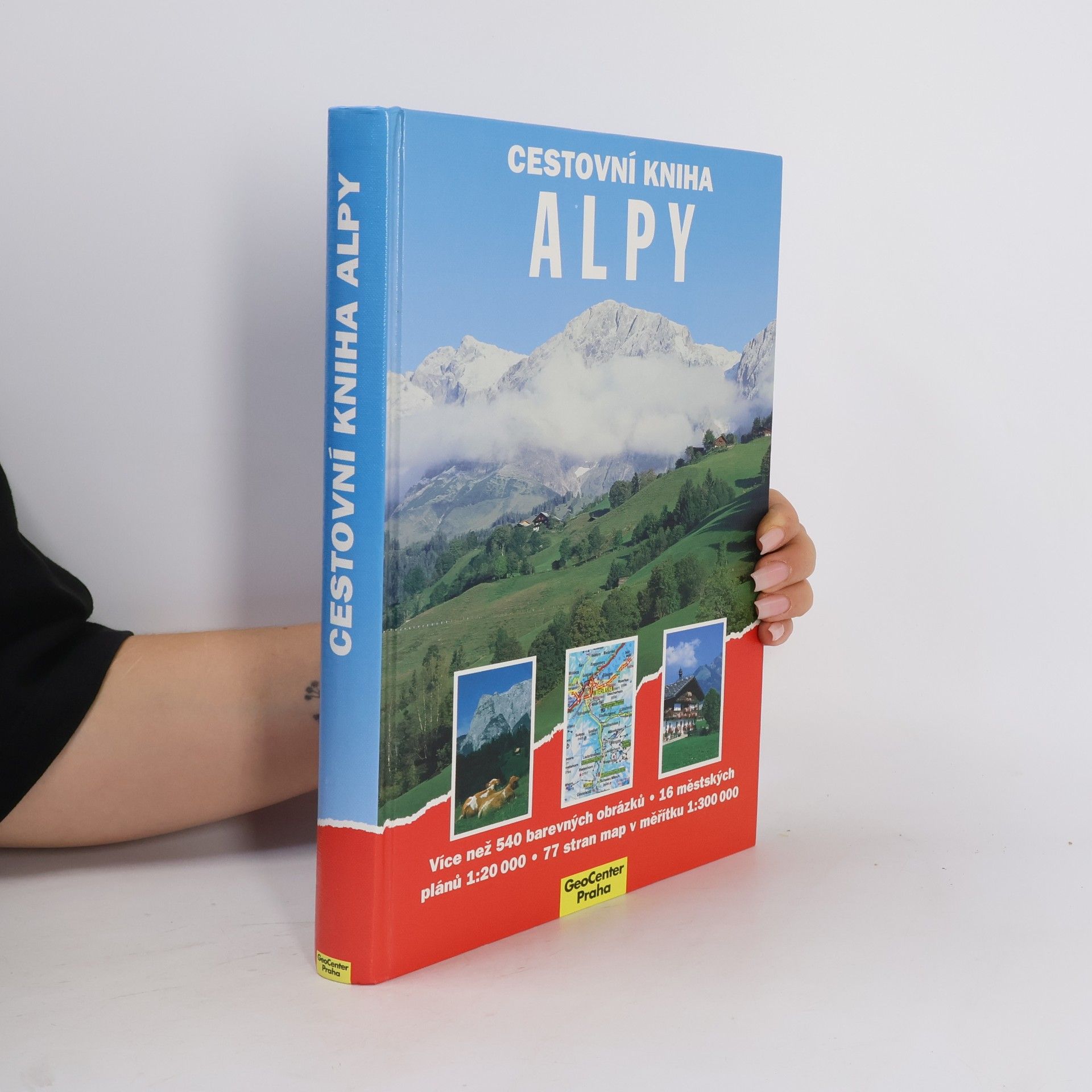 Dieter Maier Cestovní kniha : Alpy