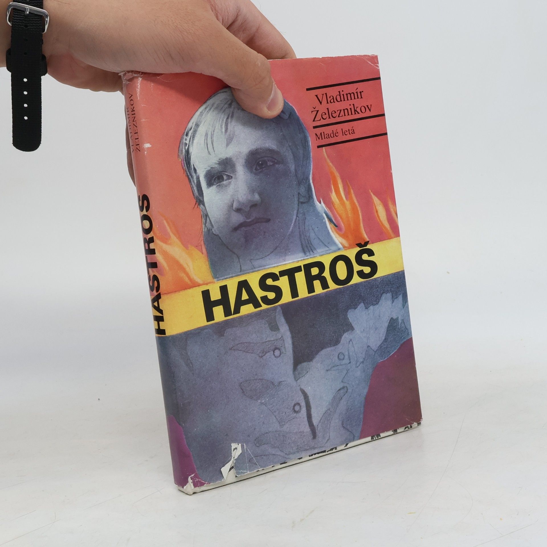 Vladimír Železnikov Hastroš