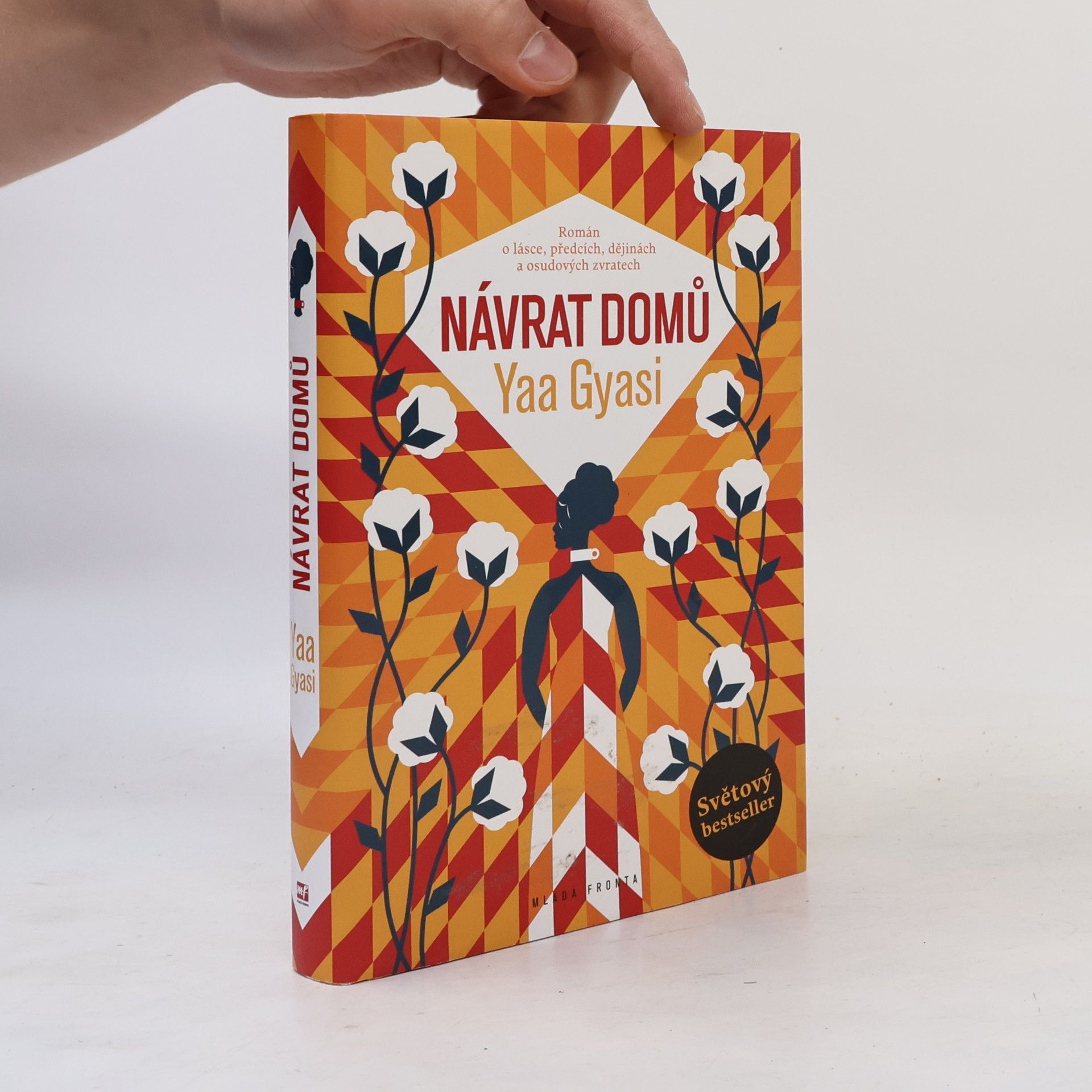 Yaa Gyasi Návrat domů