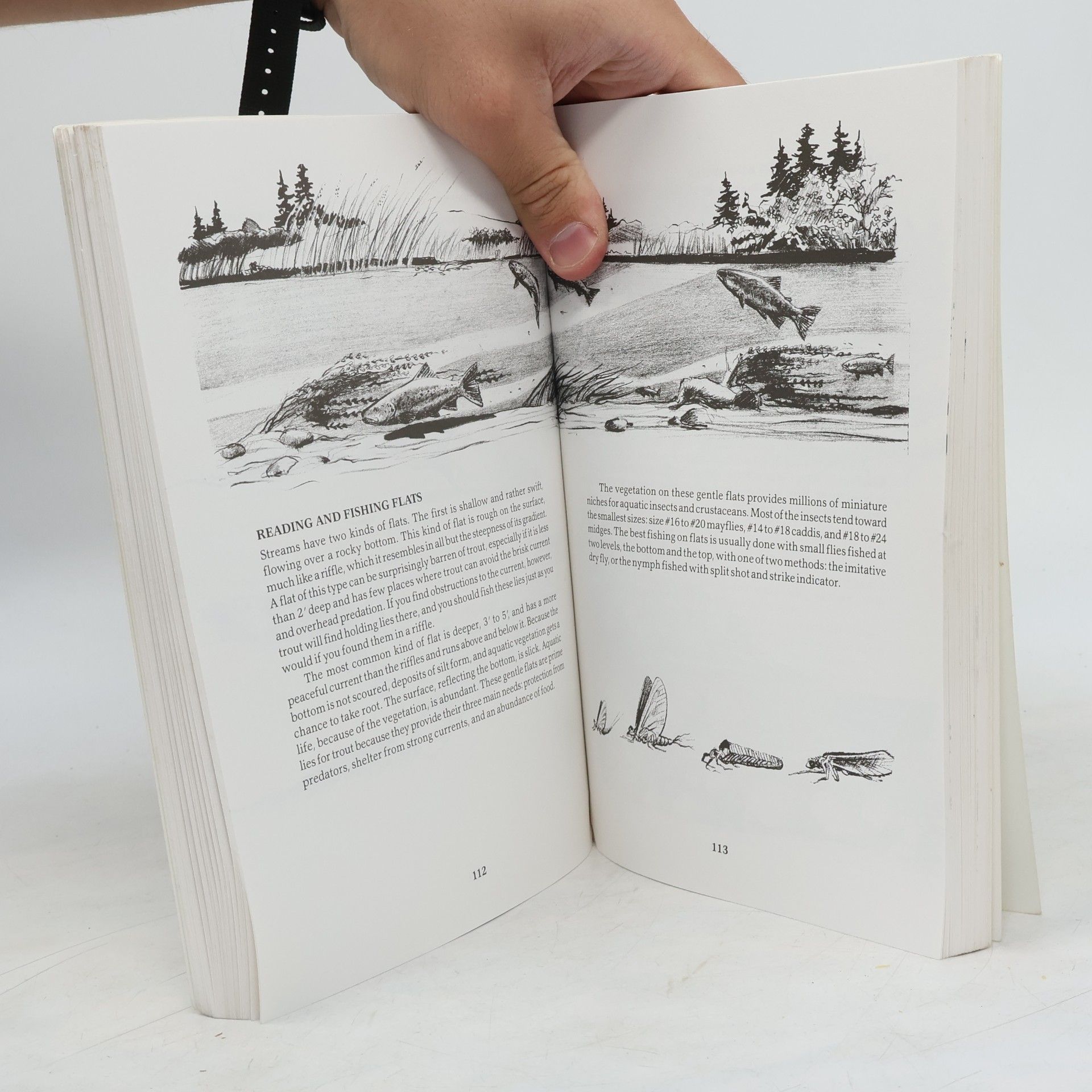 Dave Hughes Fly Fishing Basics