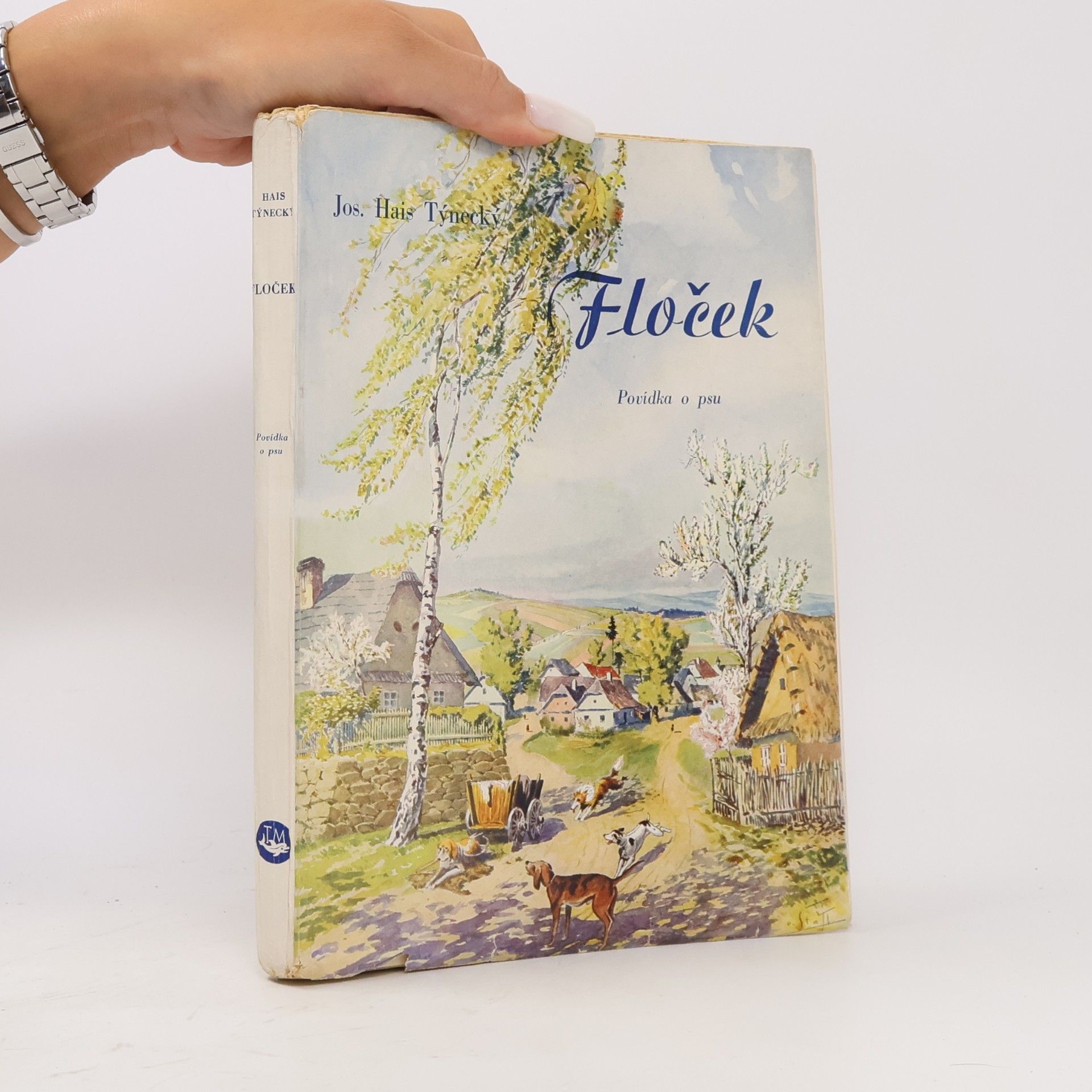Josef Hais Týnecký Floček. Psí historie
