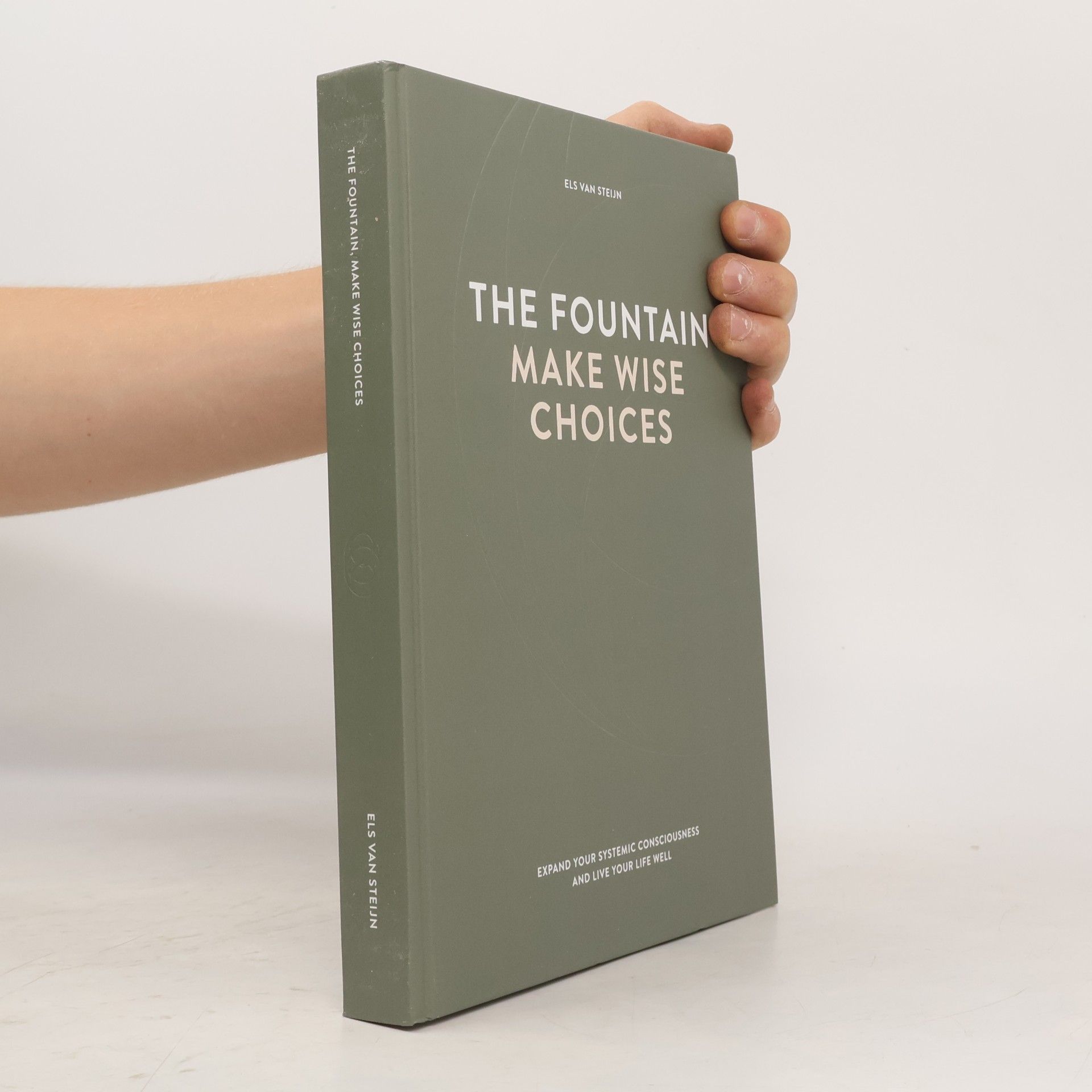 Els van Steijn The Fountain, Make Wise Choices
