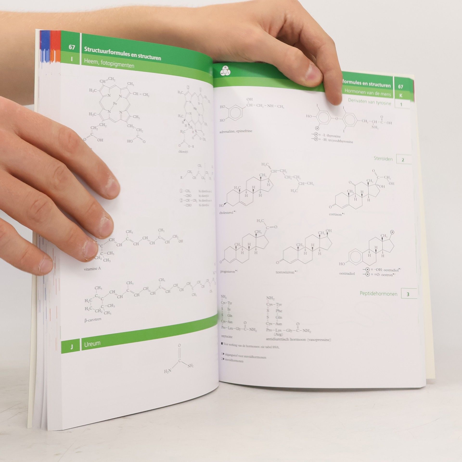 R.E.A. Bouwens Binas 7e ed informatieboek