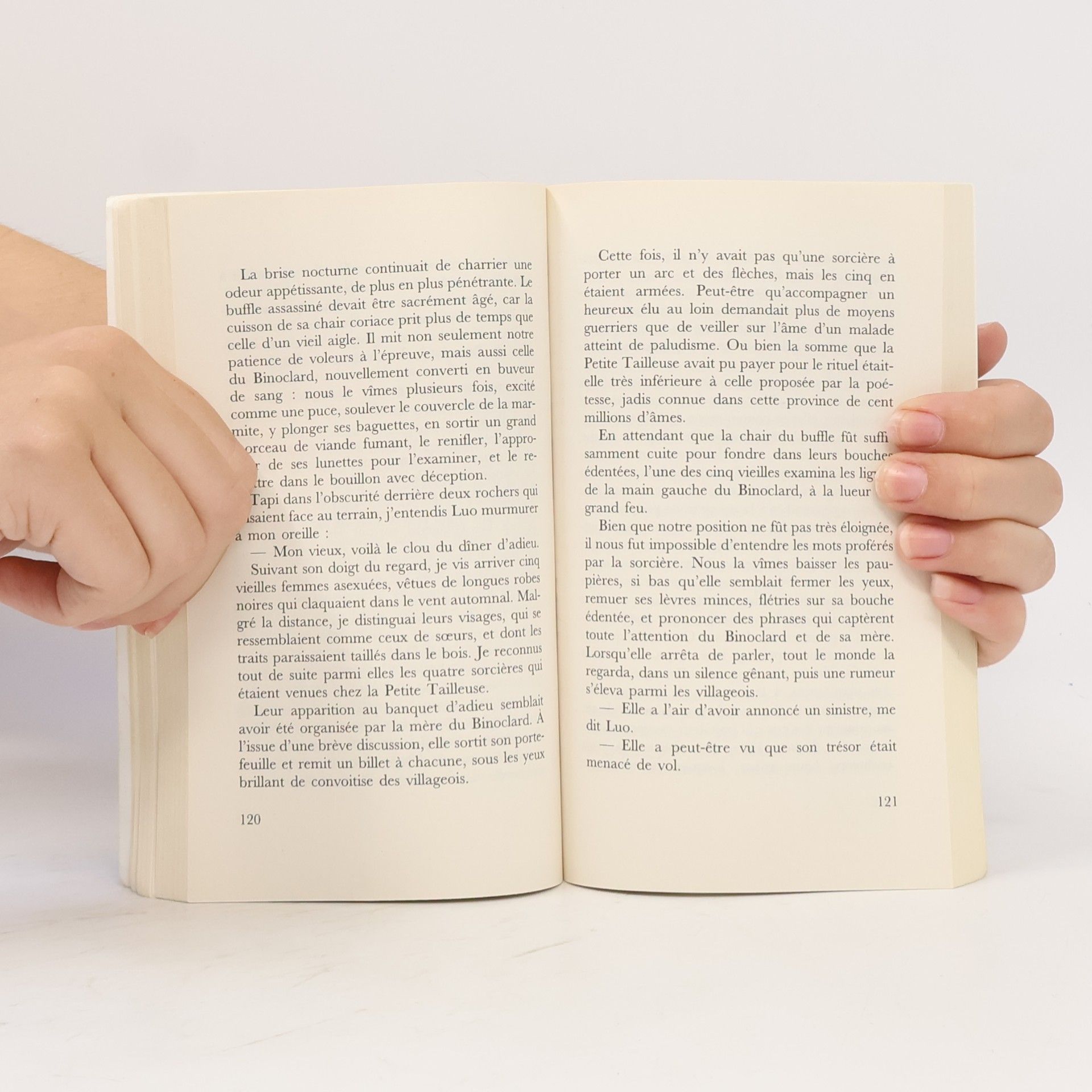 Sijie Dai Balzac et la petite tailleuse chinoise