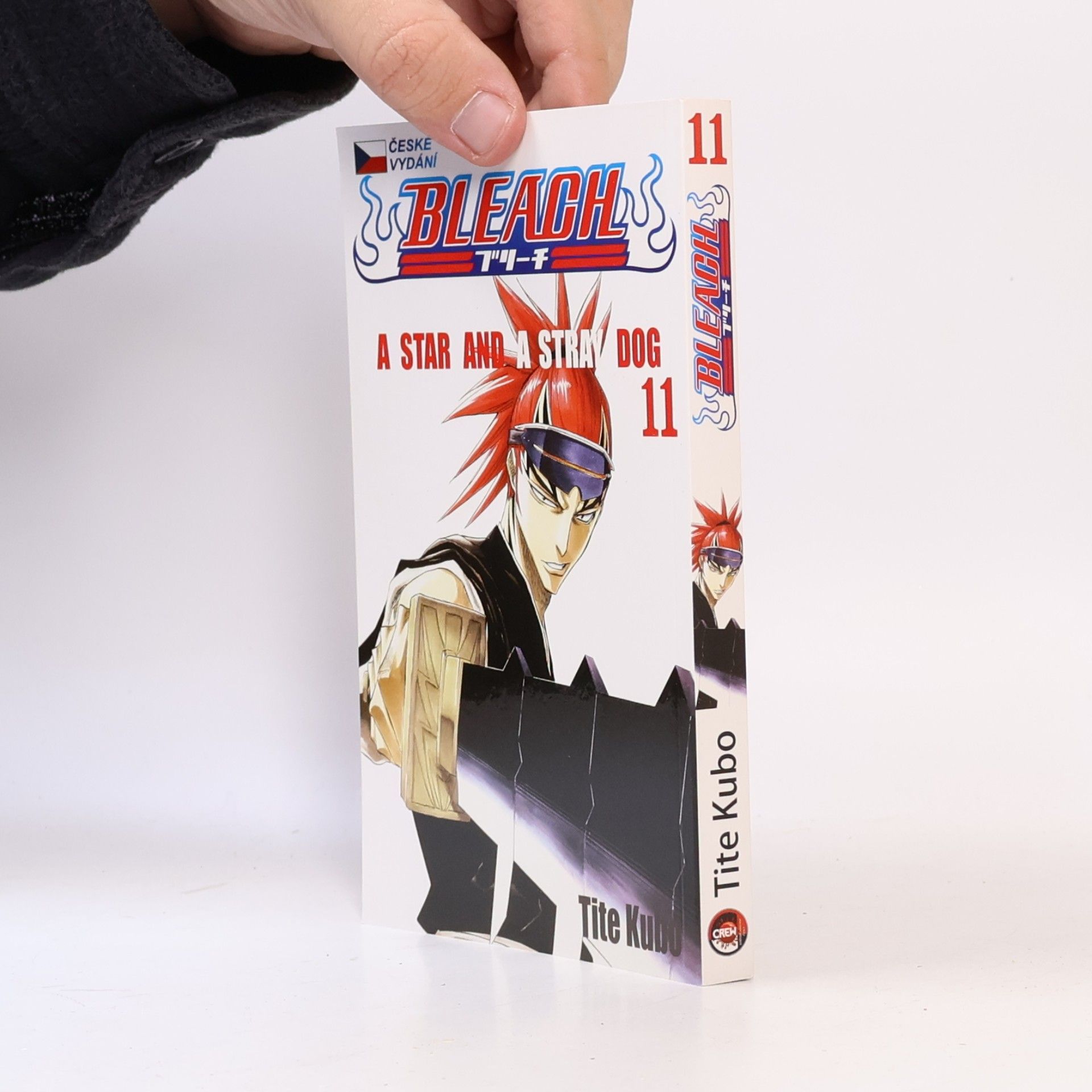 Tite Kubo Bleach 11: A star and a stray dog