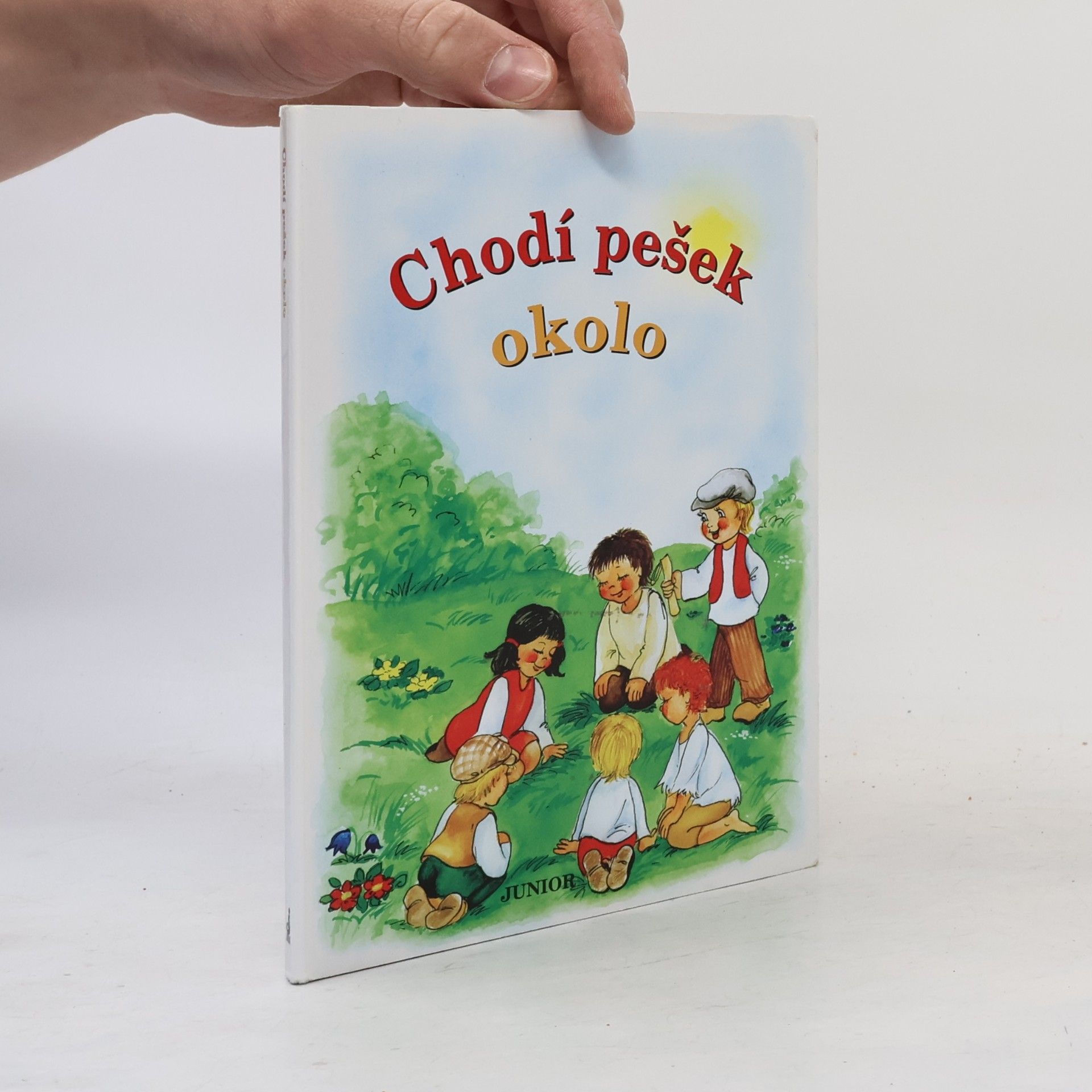 Vladimíra Vopičková Chodí pešek okolo (leporelo)