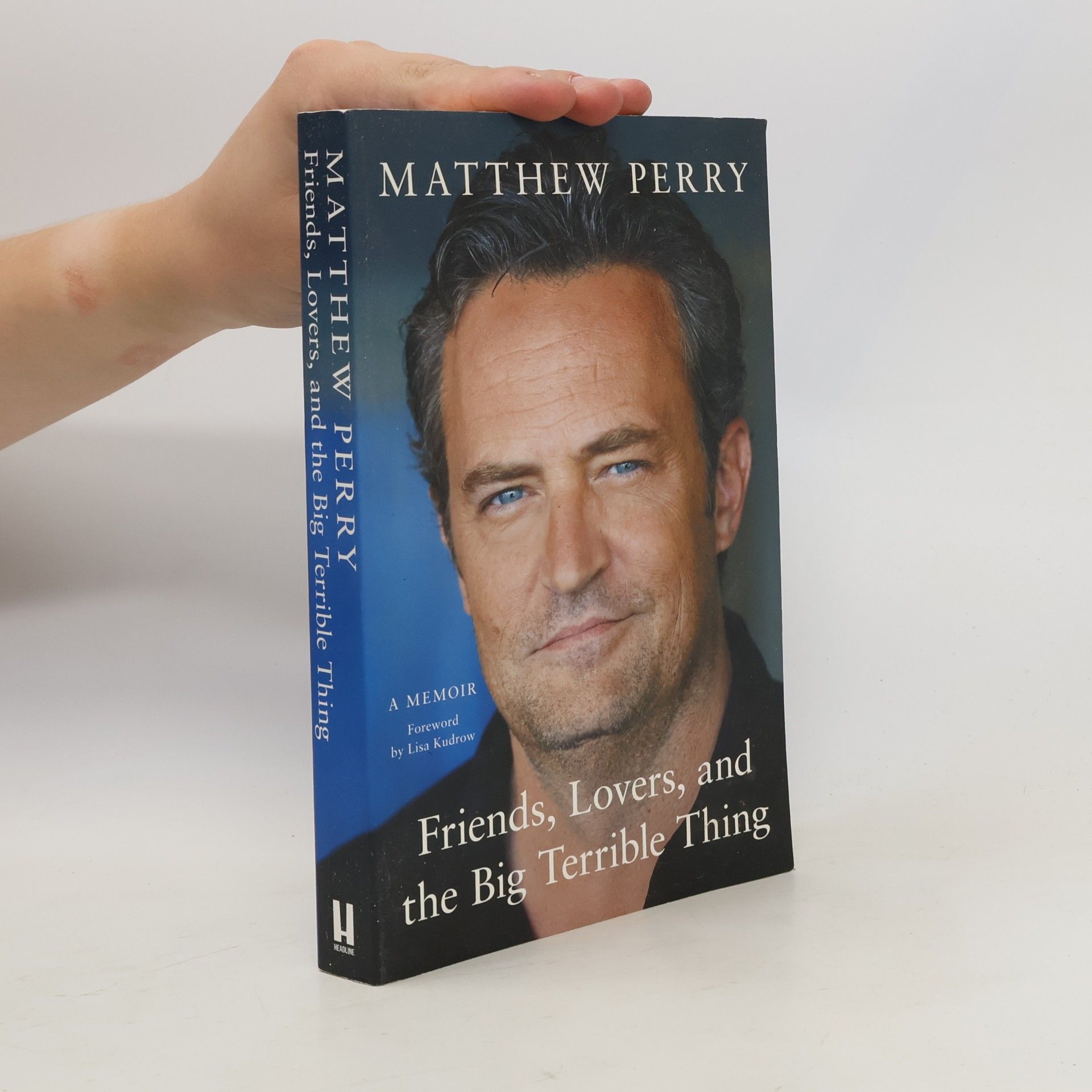 Matthew Perry Friends, lovers, and the big terrible thing