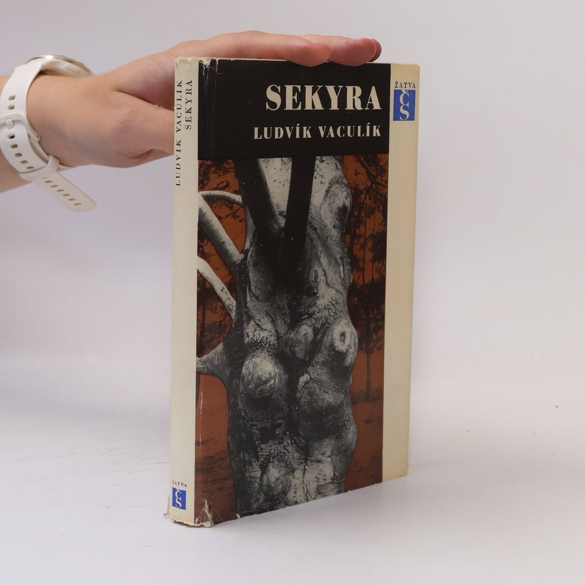 Ludvík Vaculík Sekyra