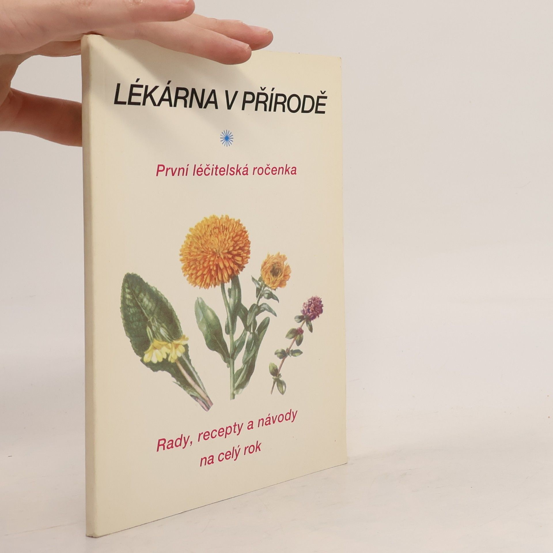 Autorenkollektiv Lékárna v přírodě: První léčitelská ročenka