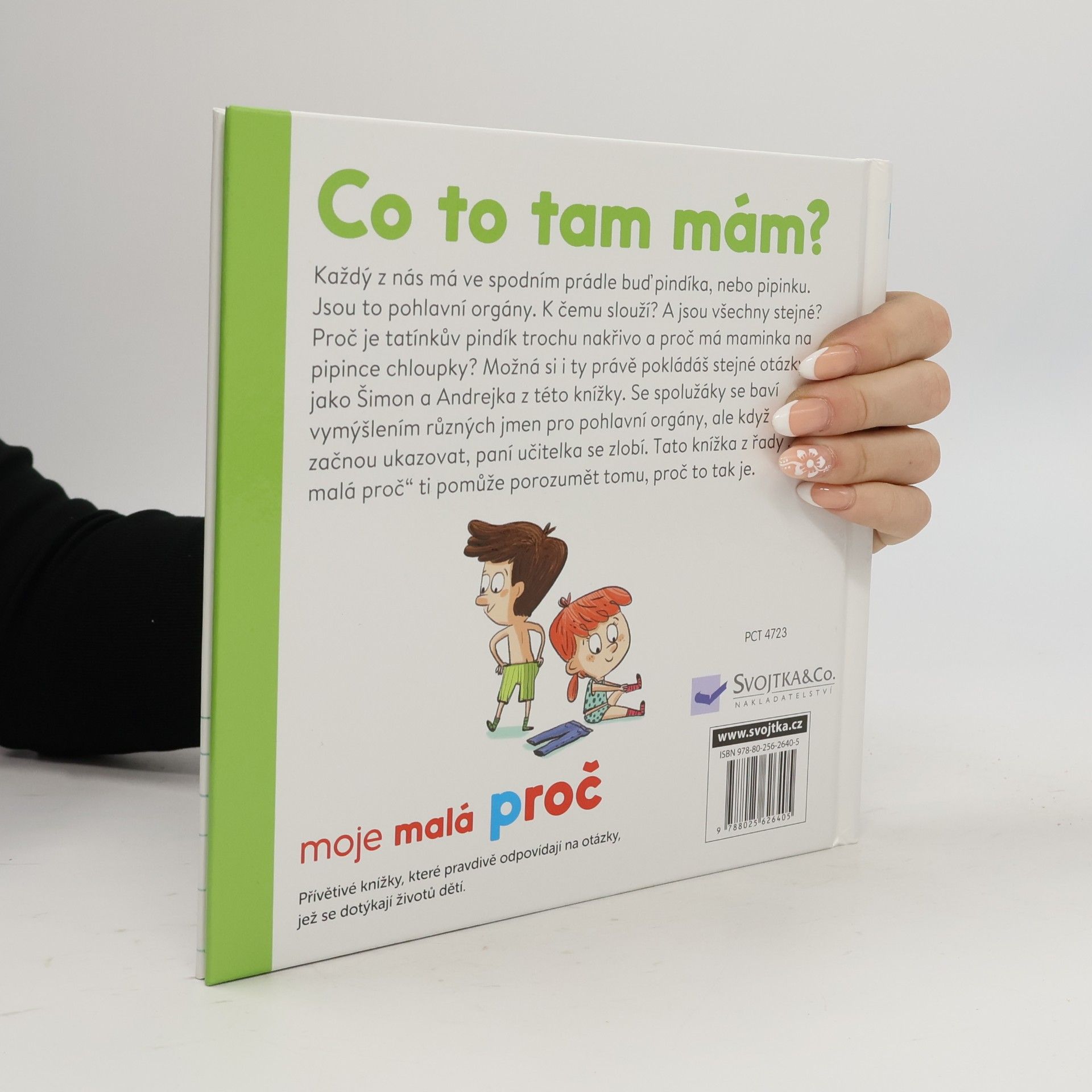 Camille Laurans Co to tam mám?