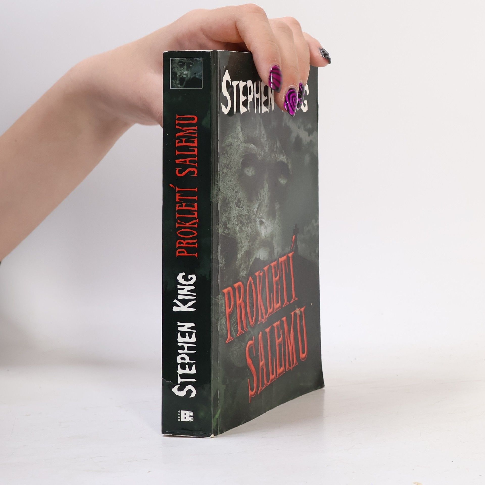 Stephen King Prokletí Salemu