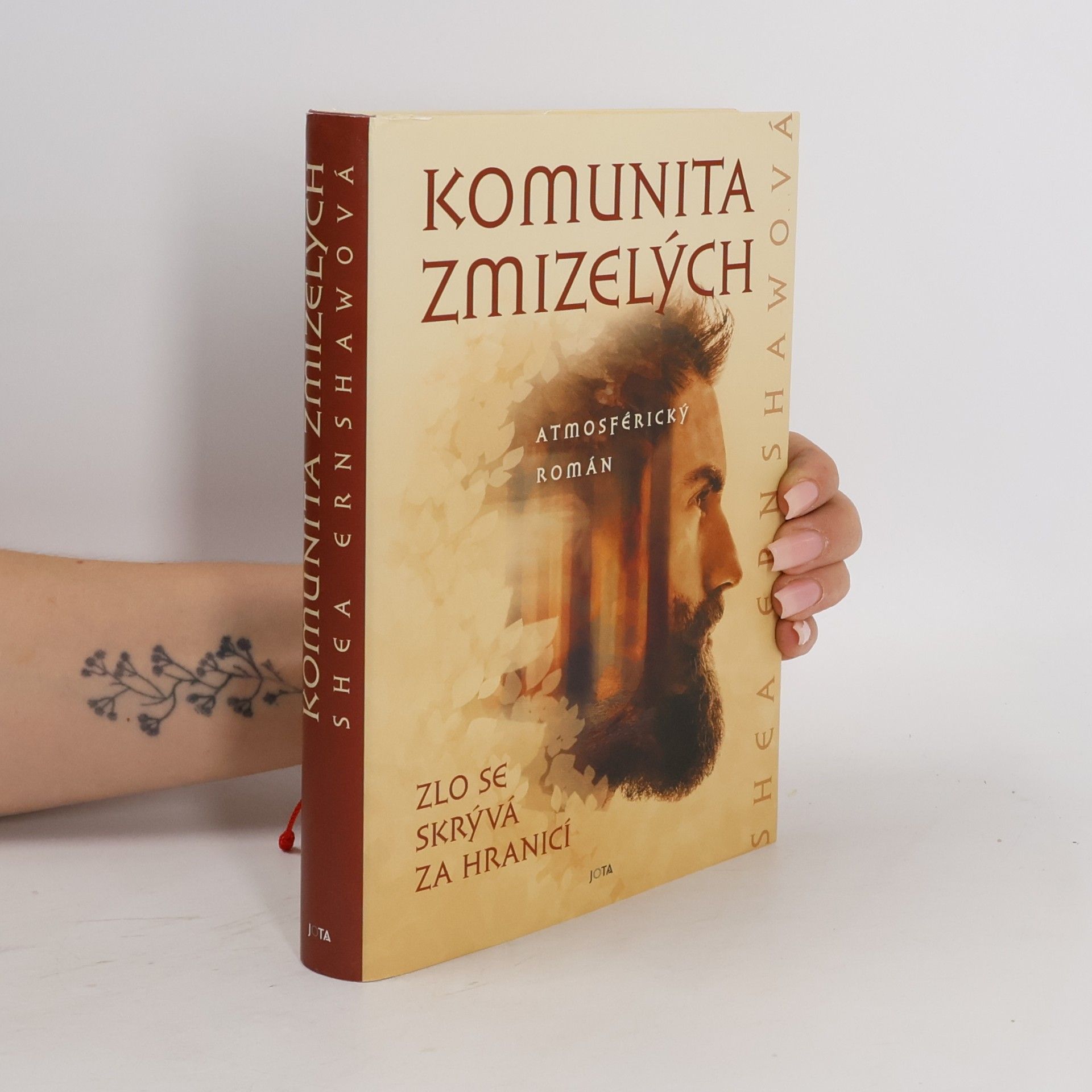 Shea Ernshaw Komunita zmizelých
