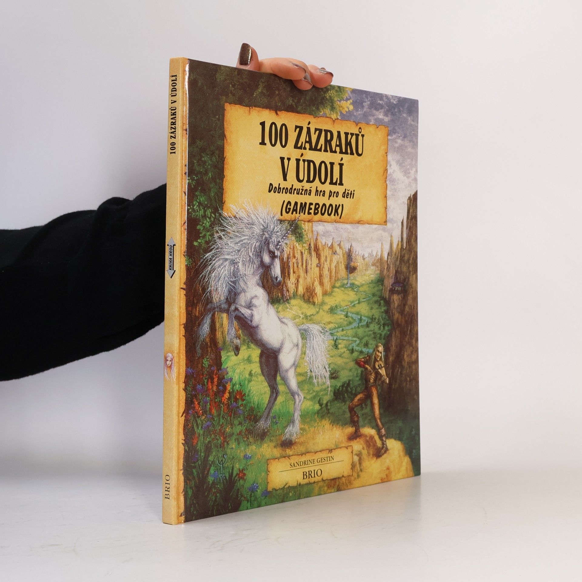 Sandrine Gestin 100 zázraků v údolí