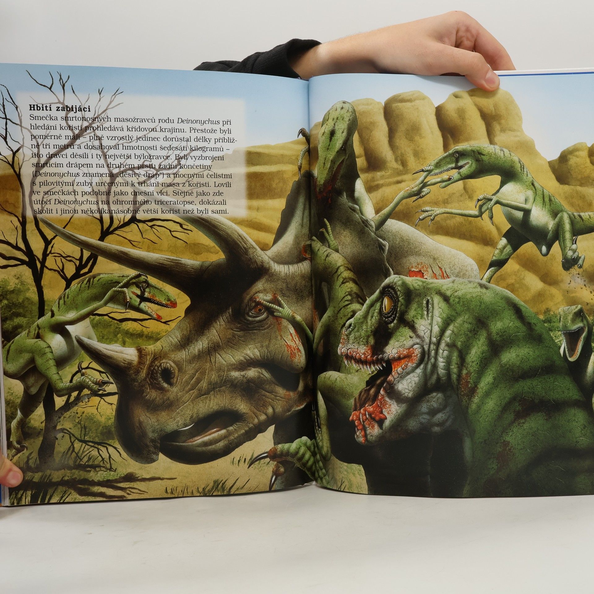 Rupert Matthews Světem dinosaurů