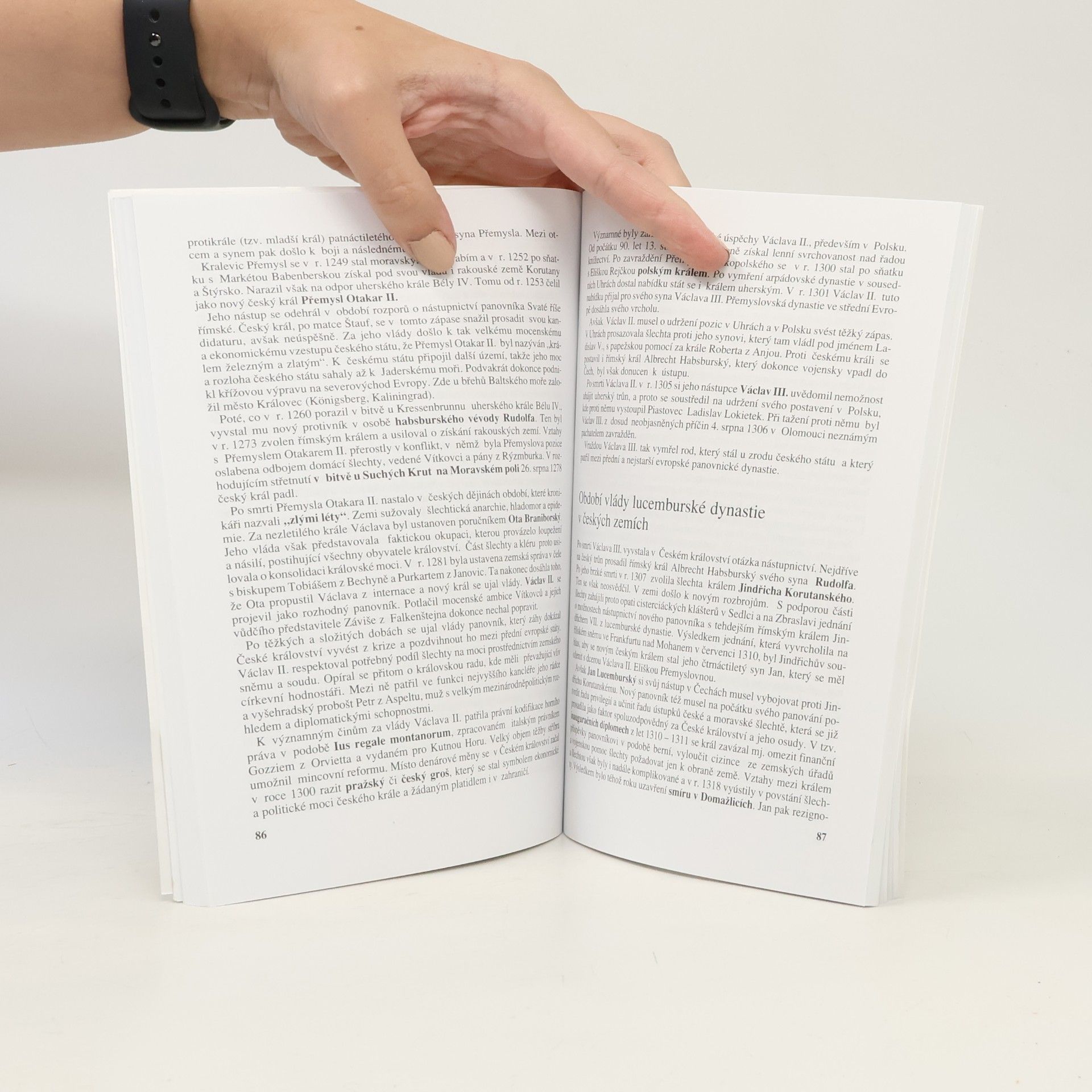 Zdeněk Veselý Přehled učiva k maturitě : dějepis