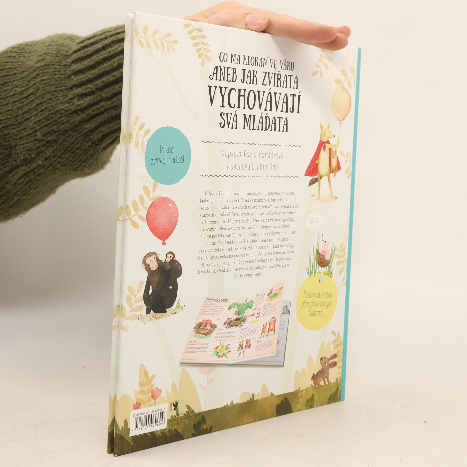 Linh Dao Co má klokan ve vaku aneb jak zvířata vychovávají svá mláďata