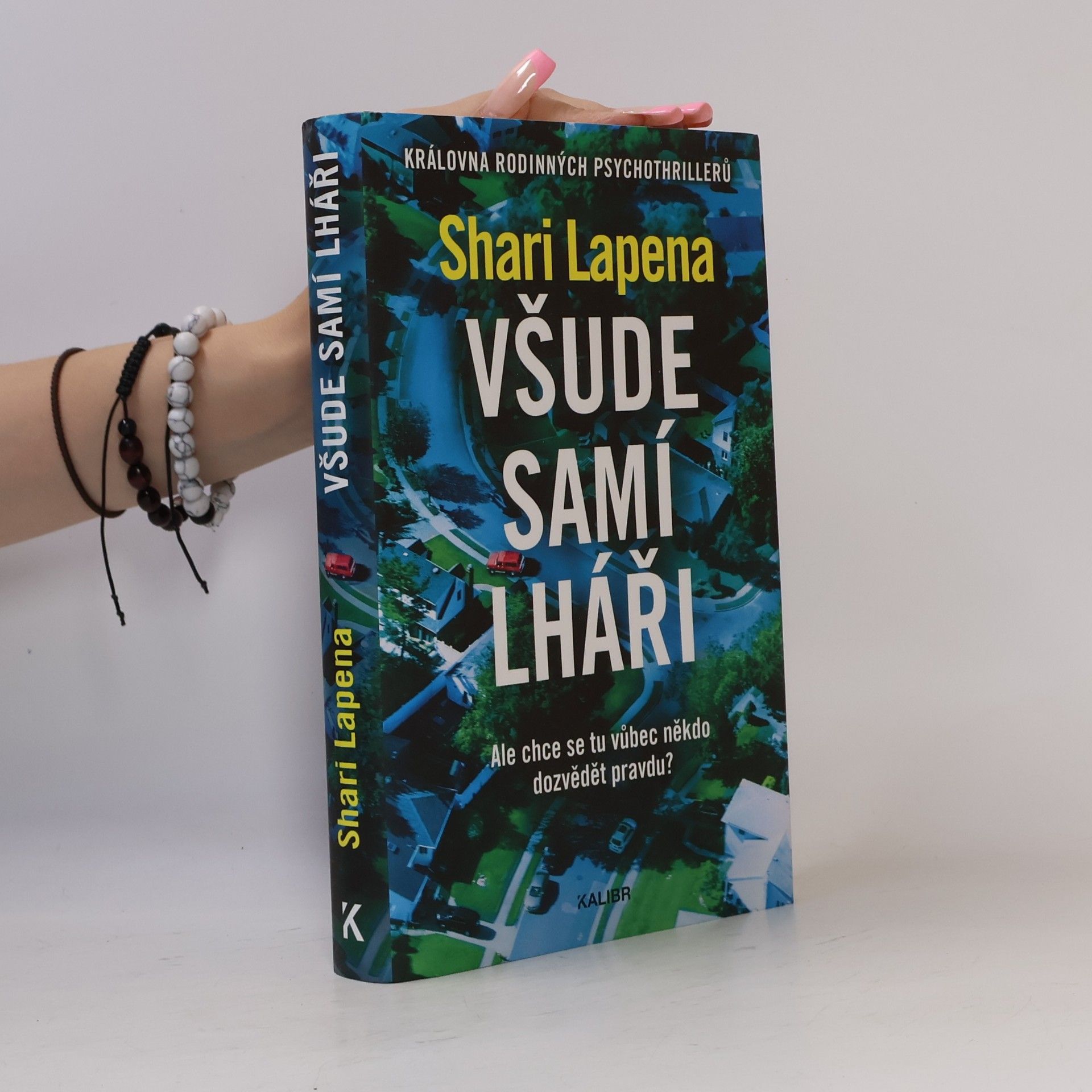 Shari Lapena Všude samí lháři