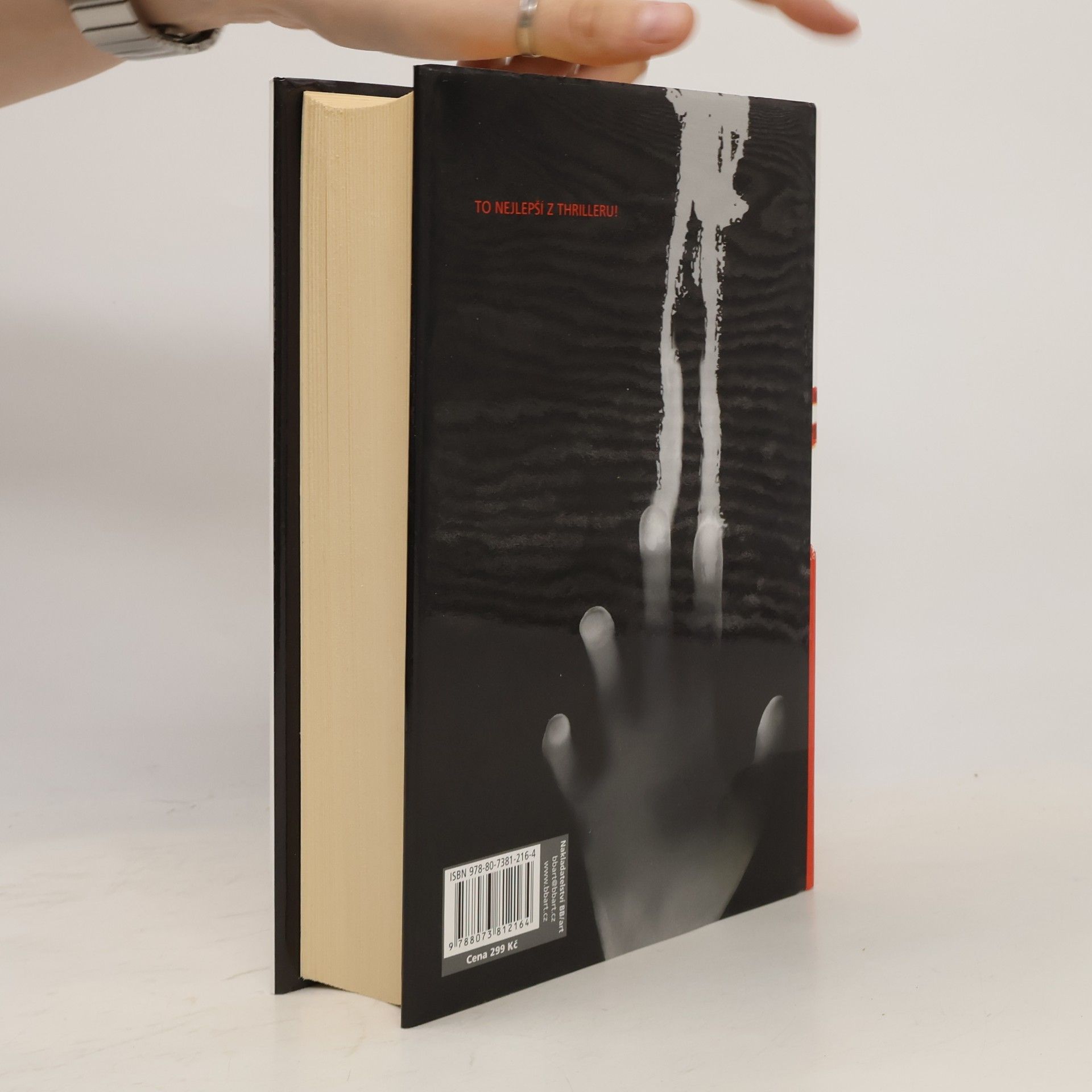 Ted Bell Thriller