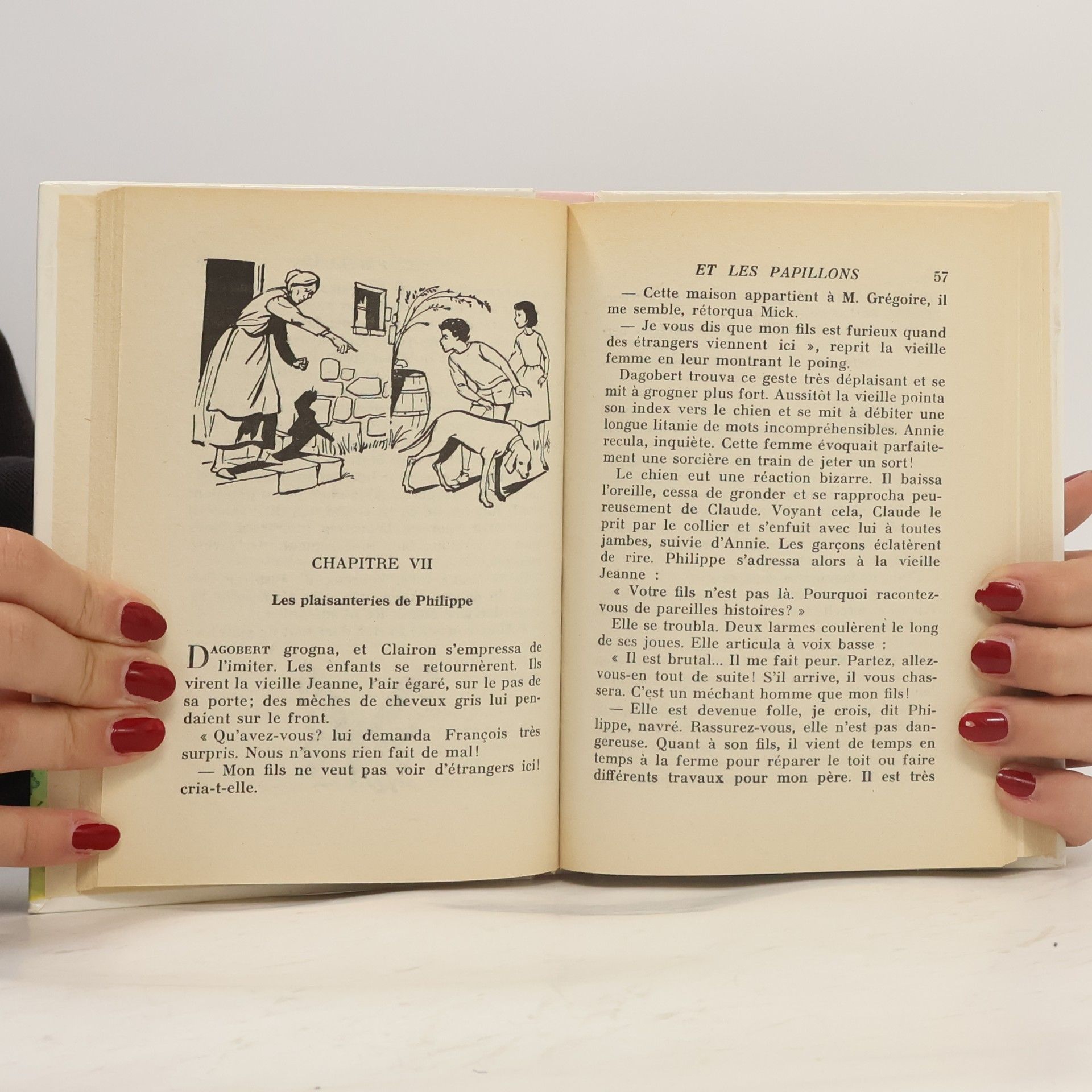 Enid Blyton Le Club des Cinq et les papillons