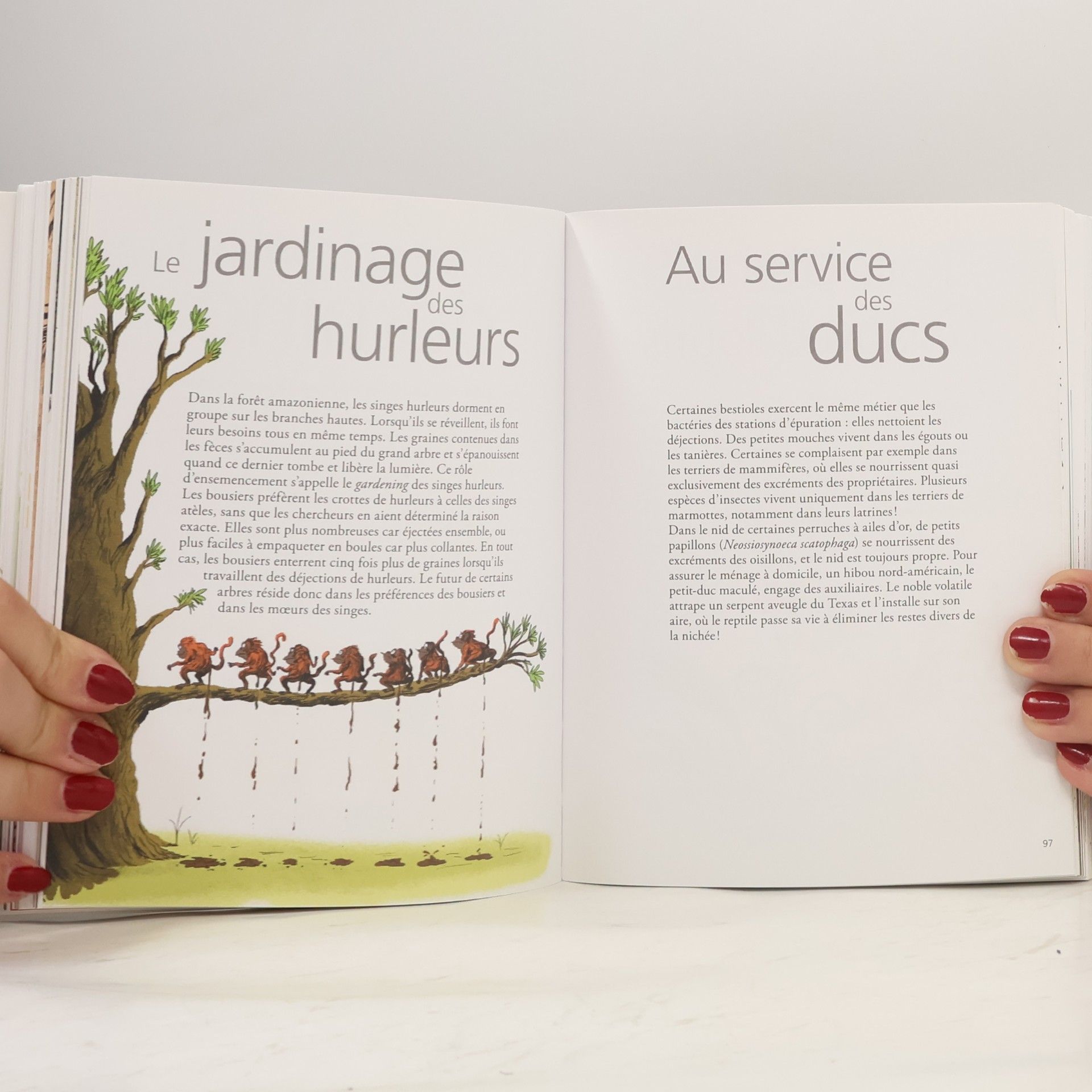 Marc Giraud Affreux, sales et marrants