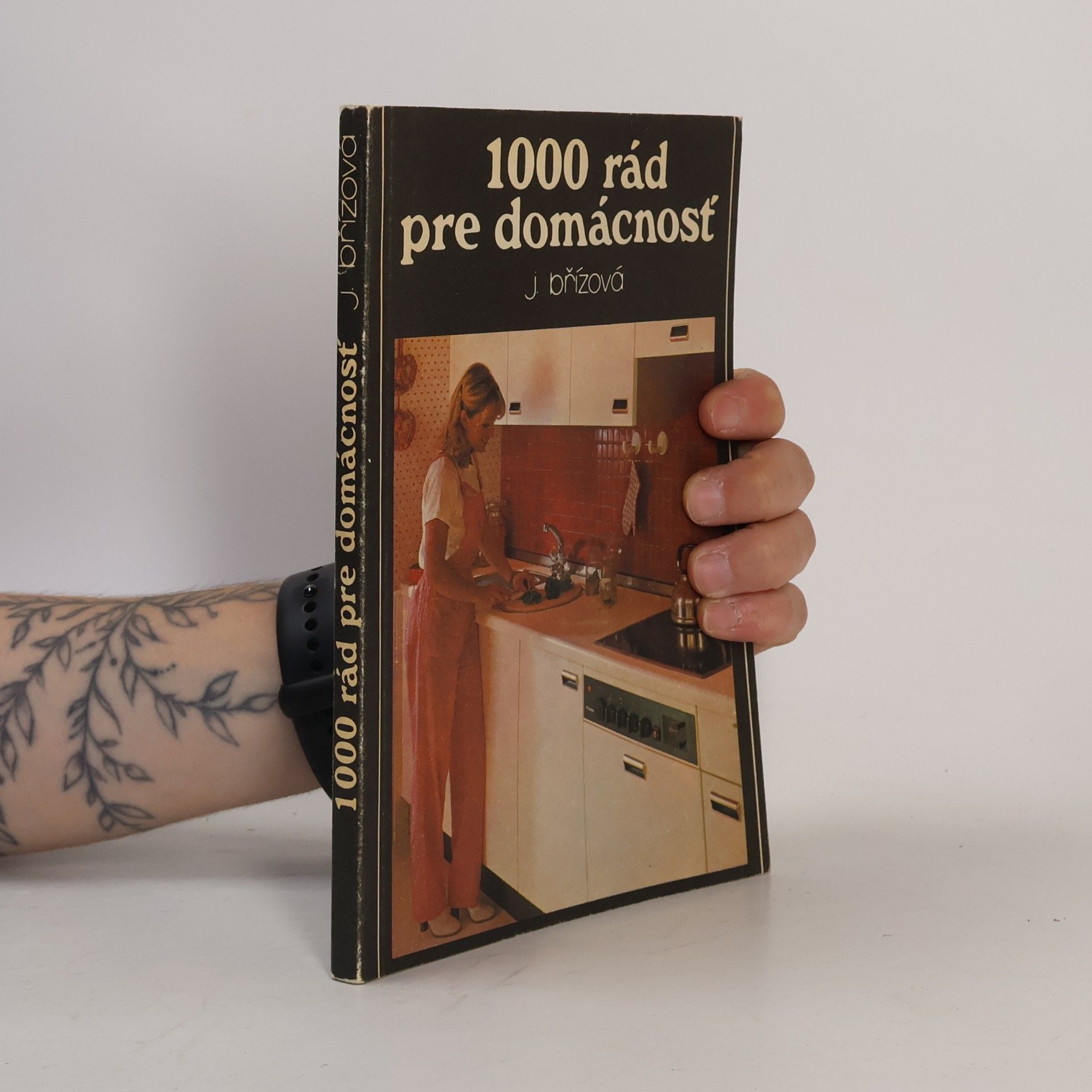 J. Břízová 1000 rád pre domácnosť