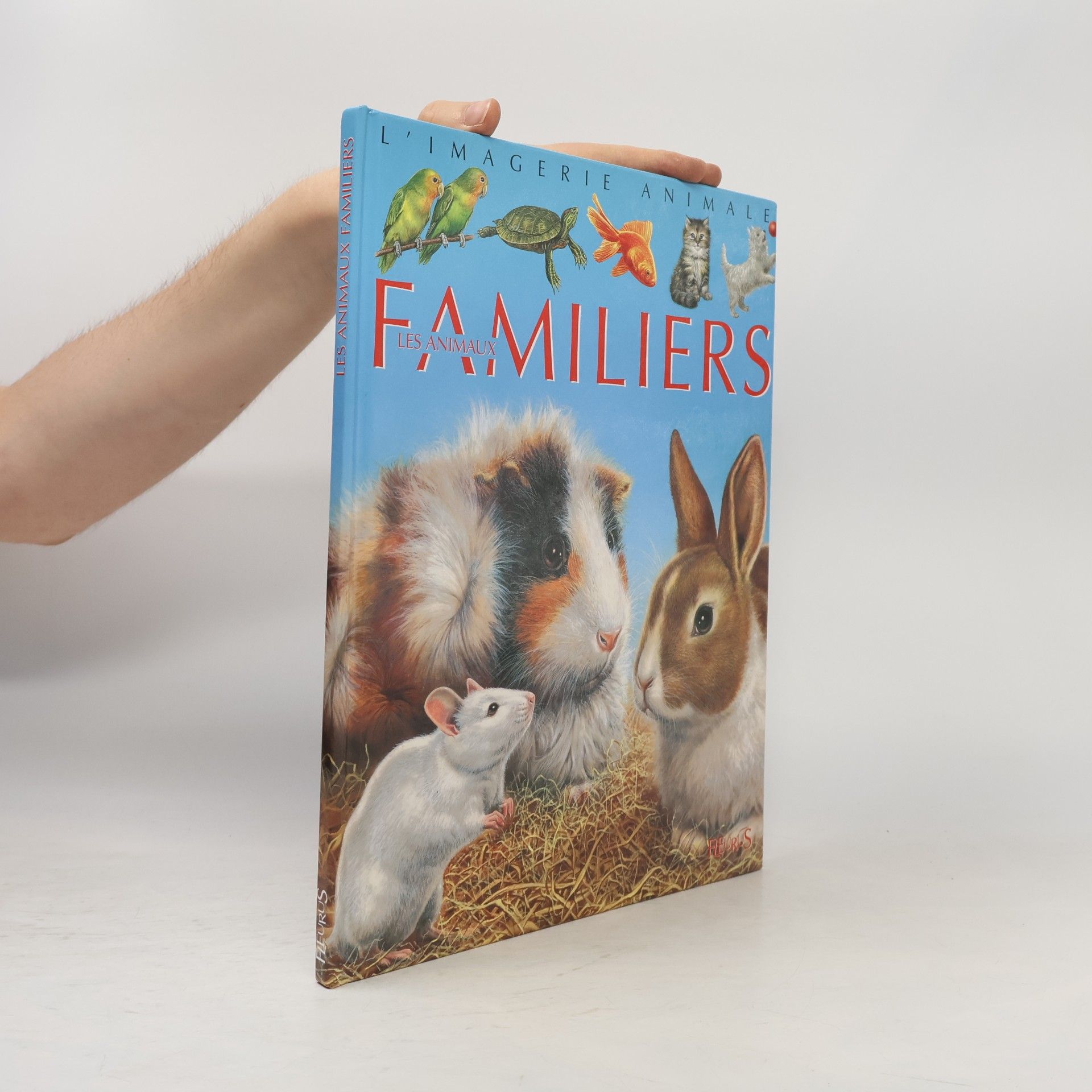 Emilie Beaumont Animaux familiers
