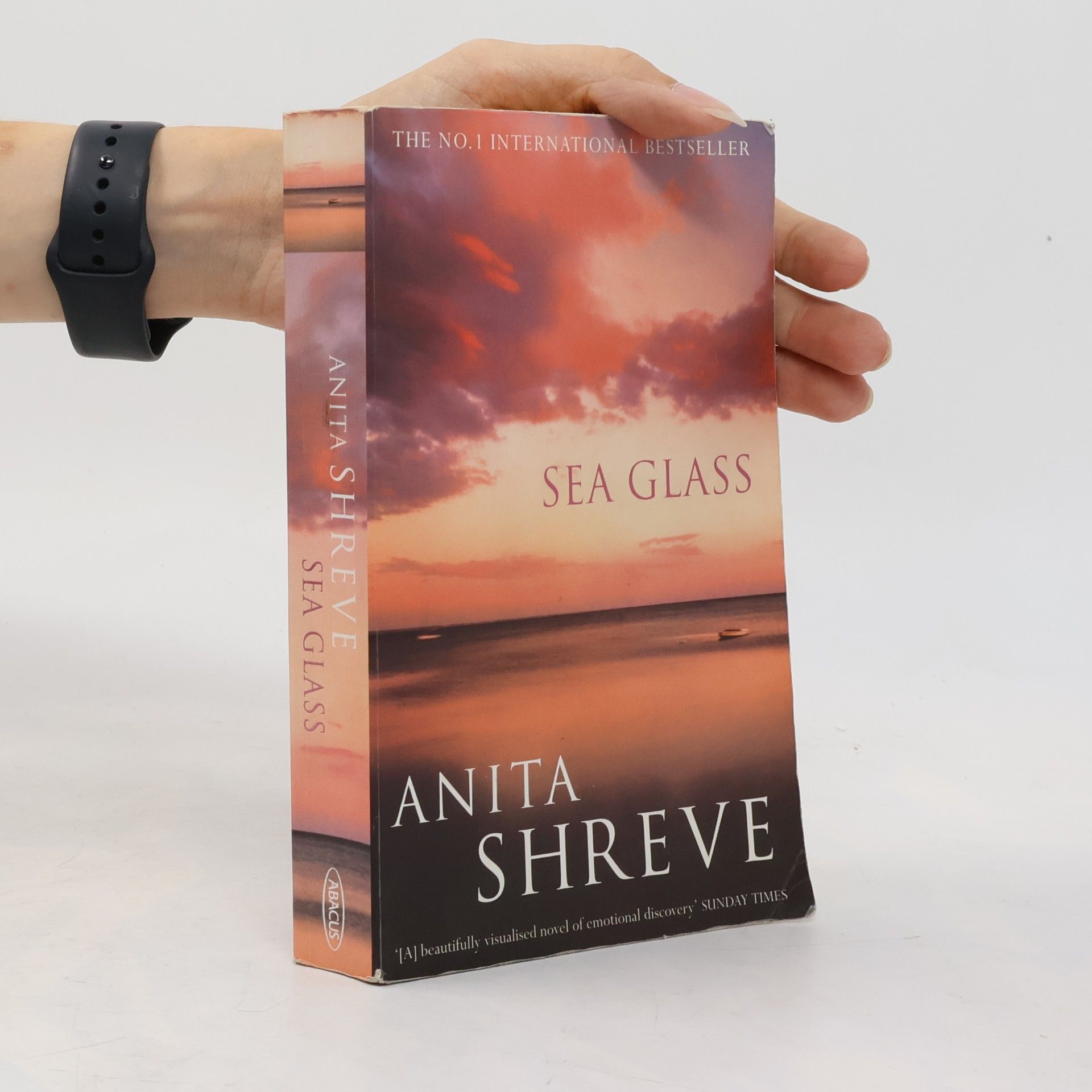 Anita Shreve Sea Glass
