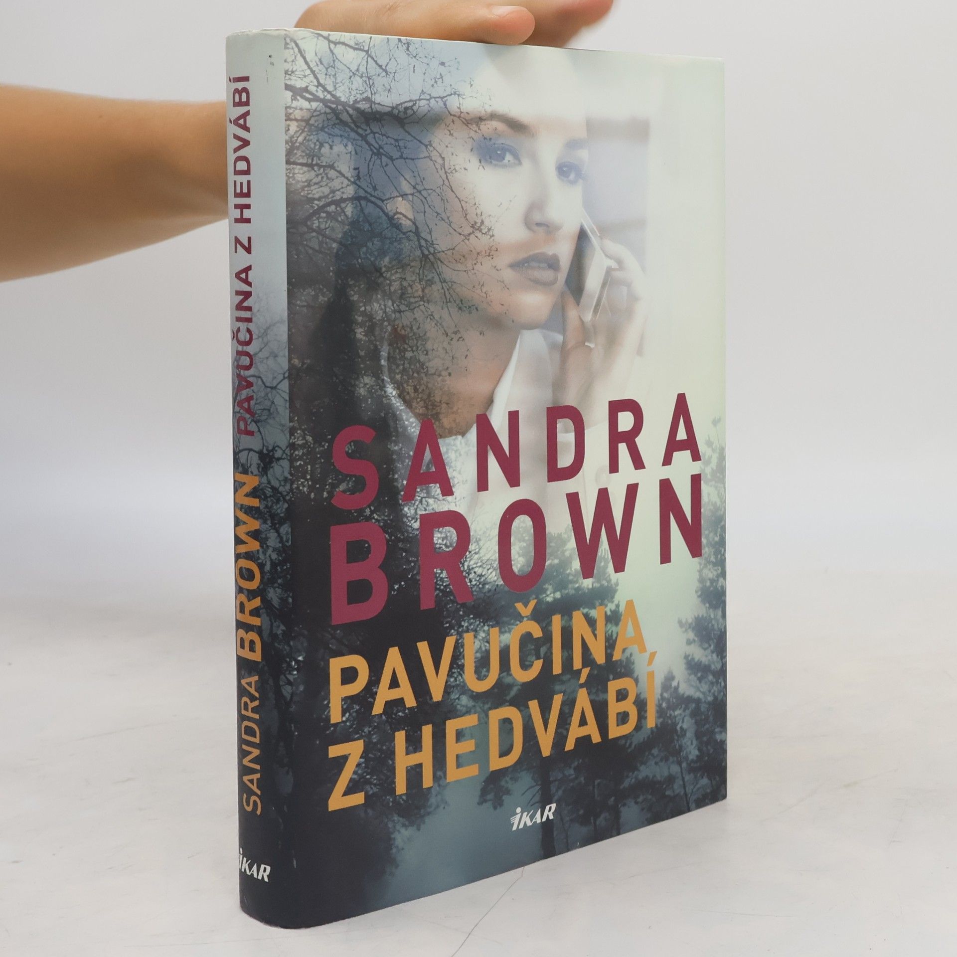 Sandra Brown Pavučina z hedvábí