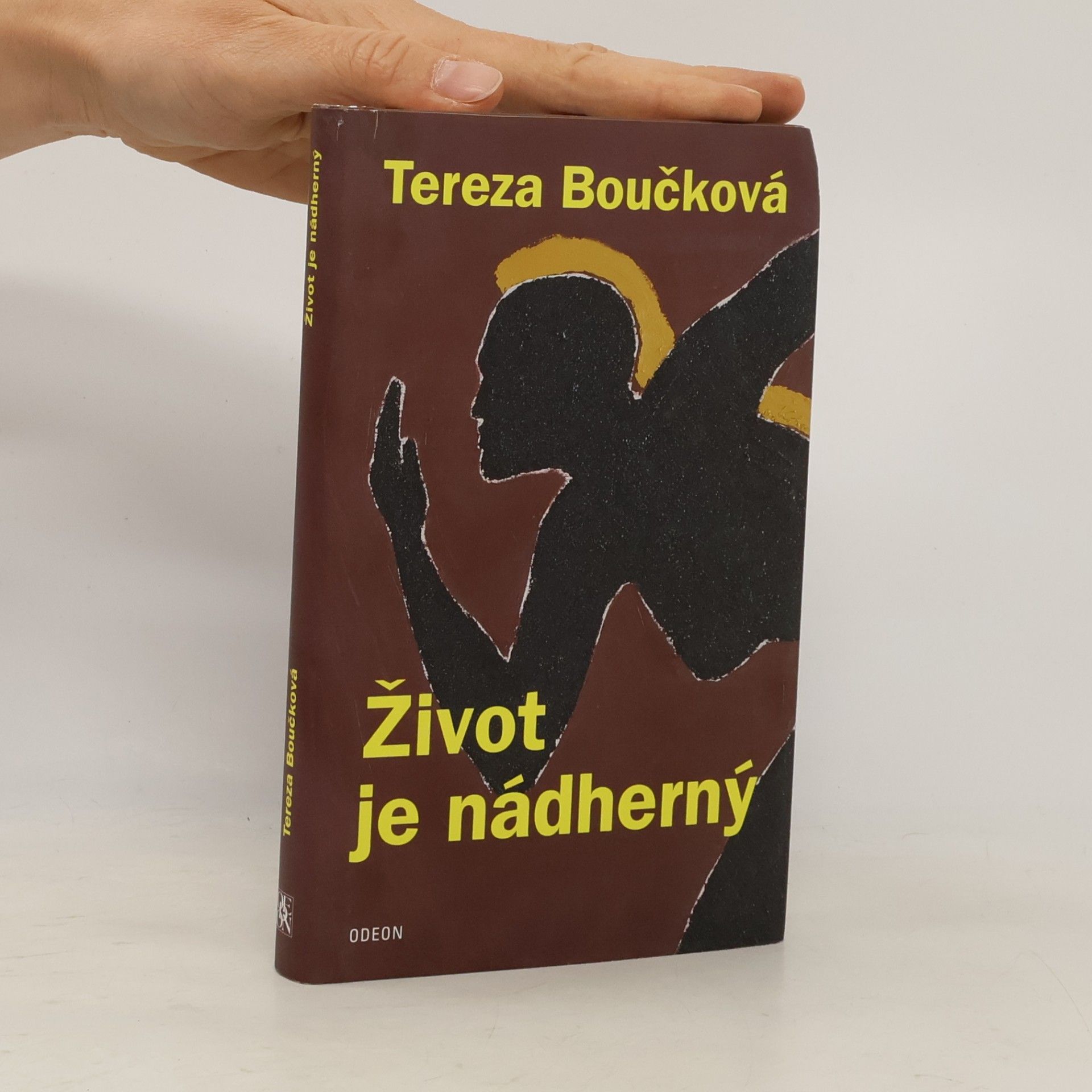 Tereza Boučková Život je nádherný