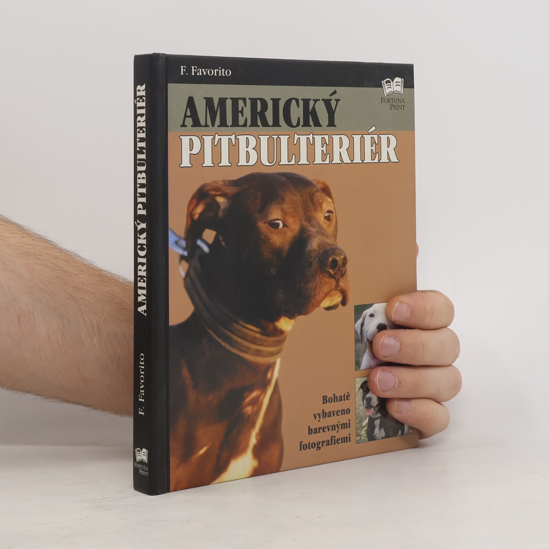 F. Favorito Americký pitbulteriér