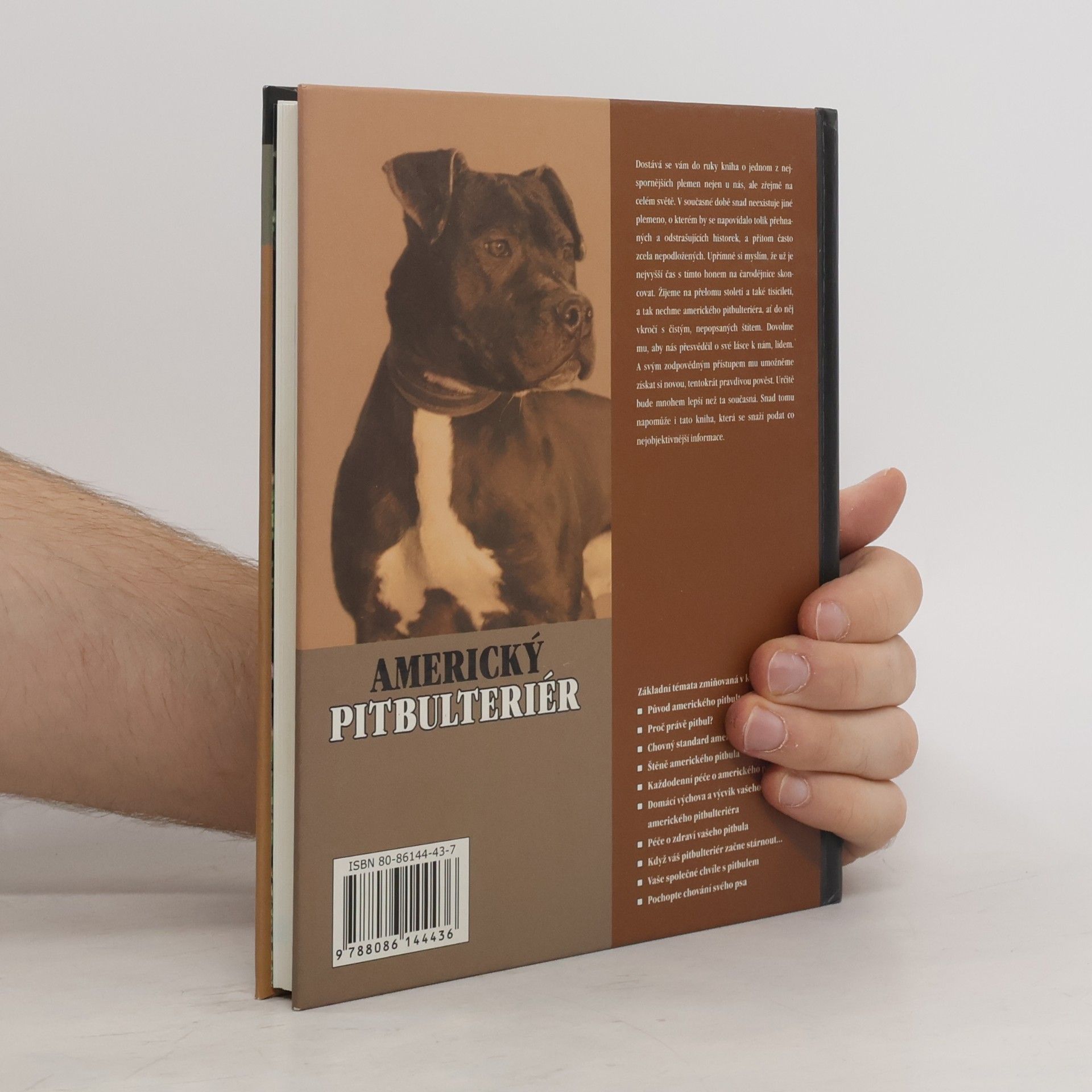 F. Favorito Americký pitbulteriér