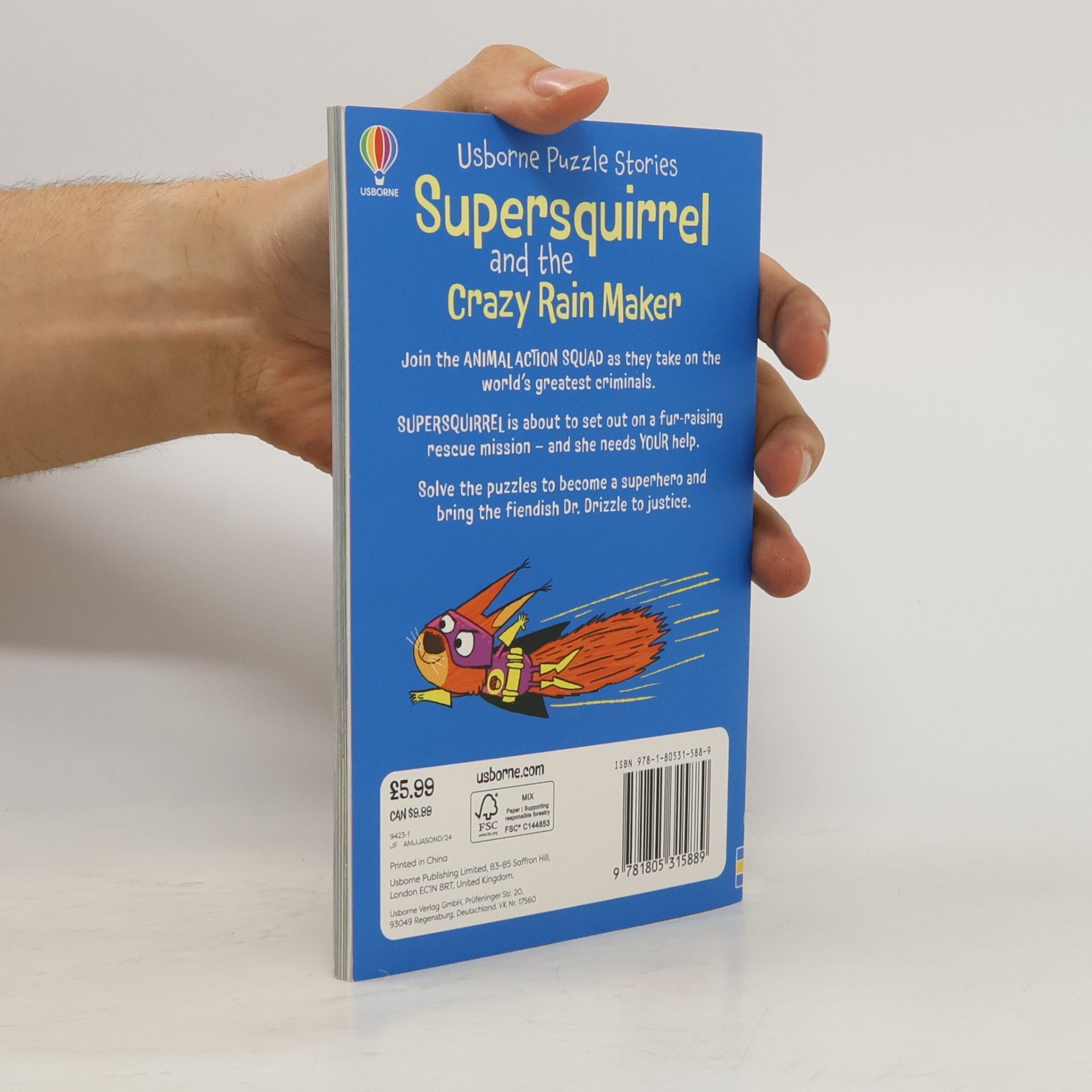 Russell Punter Usborne Puzzle Stories: Supersquirrel and the Crazy Rain Maker