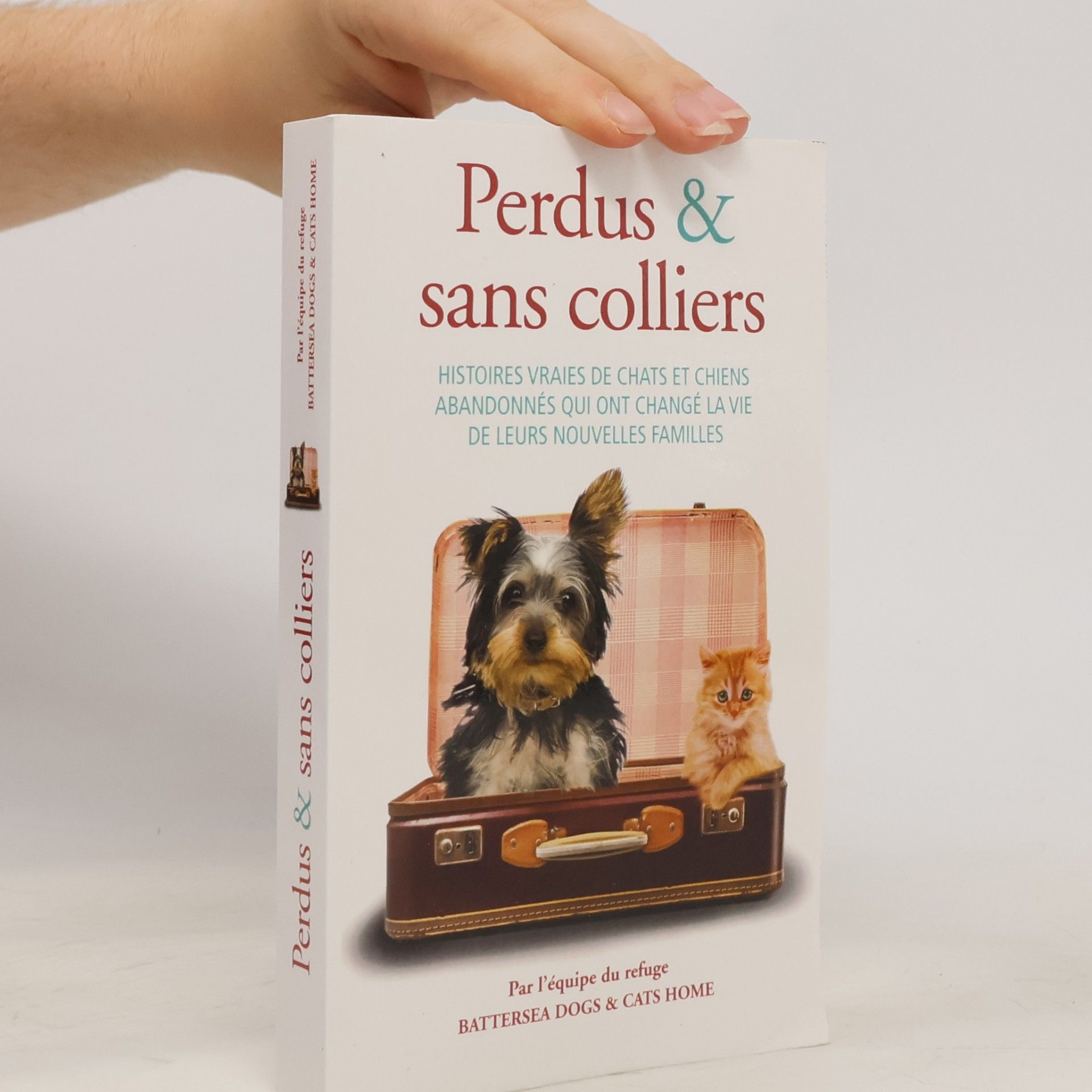 Perdus & sans colliers Histoires vraies de chats et chiens abandonnés qui ont changé la vie de leurs nouvelles familles