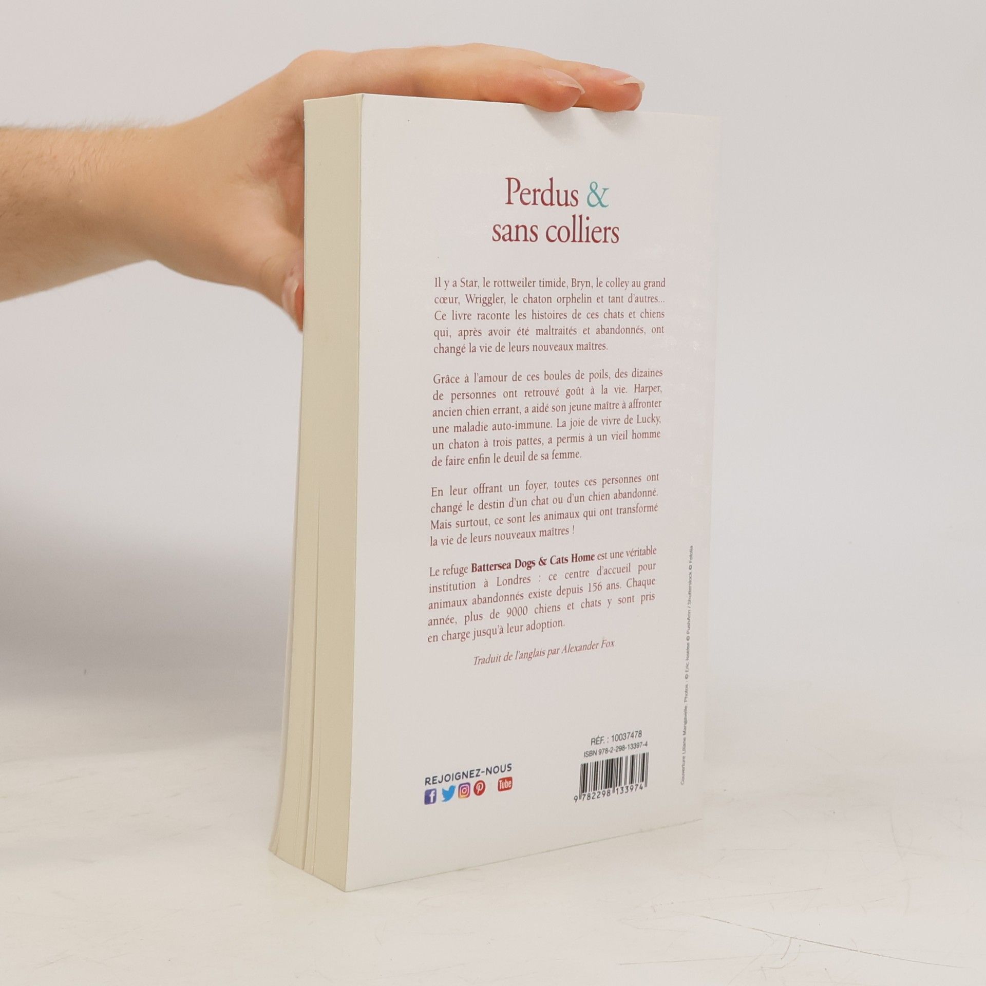 Battersea Dogs & Cats Home Perdus & sans colliers Histoires vraies de chats et chiens abandonnés qui ont changé la vie de leurs nouvelles familles