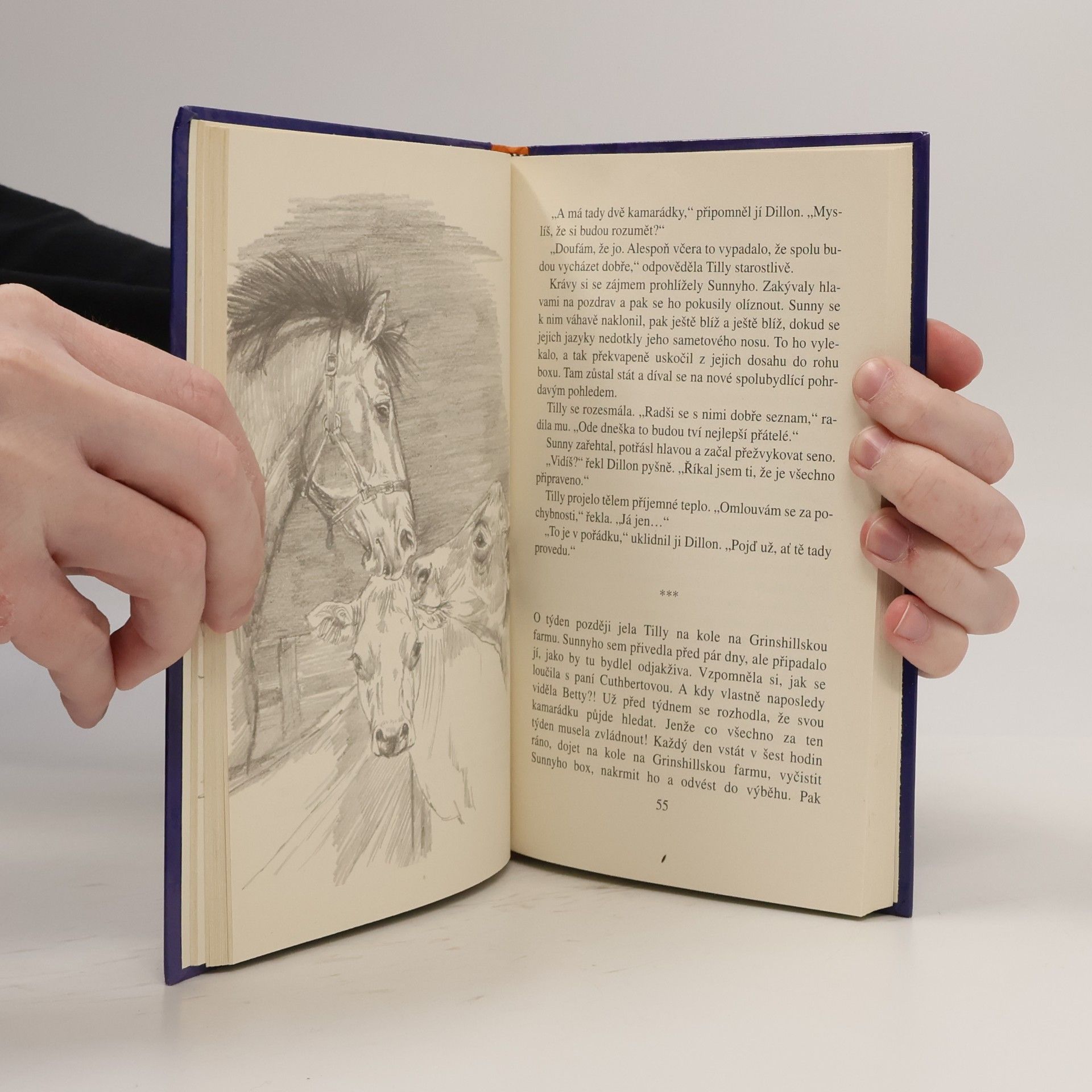 Eleanor Jones Přízraky z Grinshillského lesa
