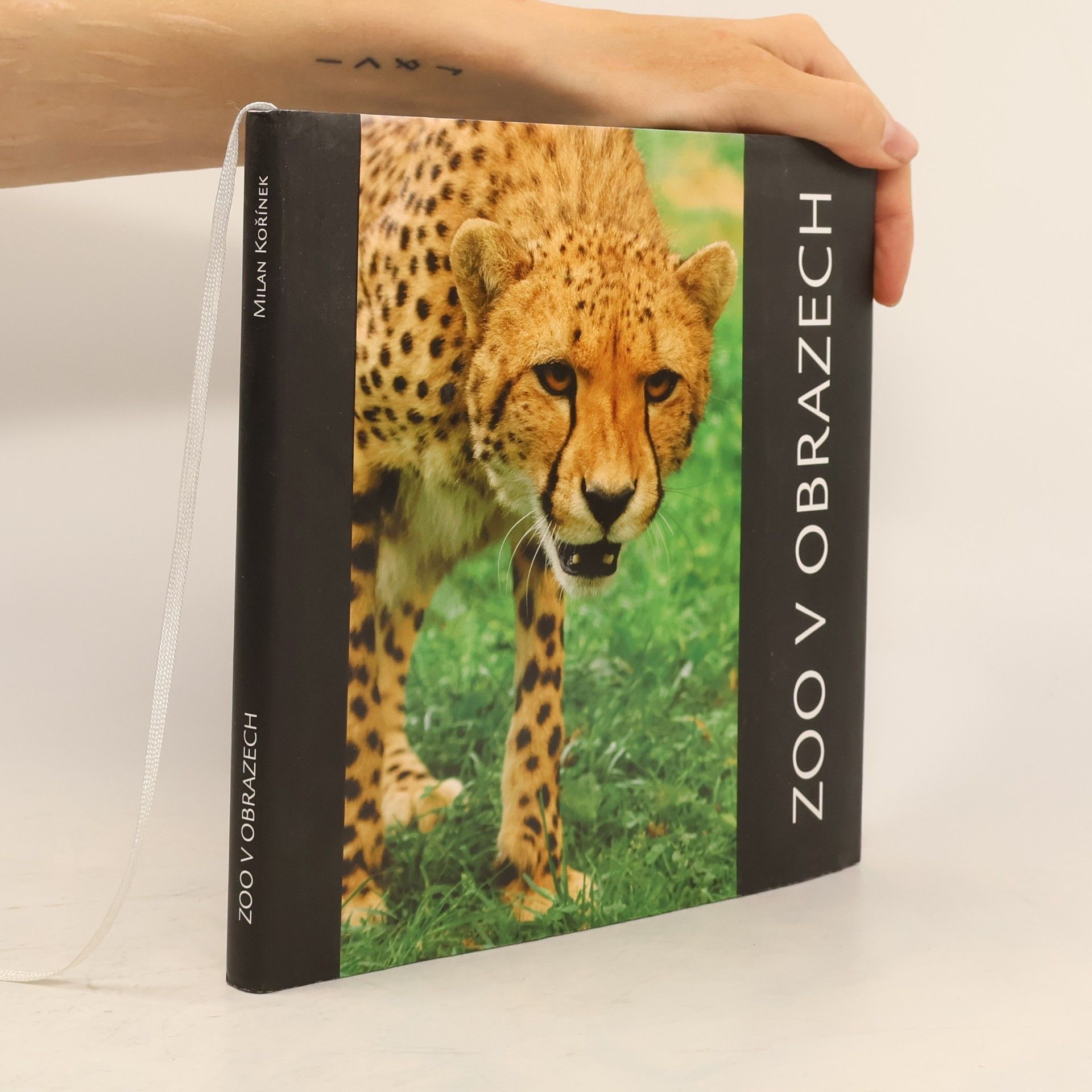 Milan Kořínek ZOO v obrazech