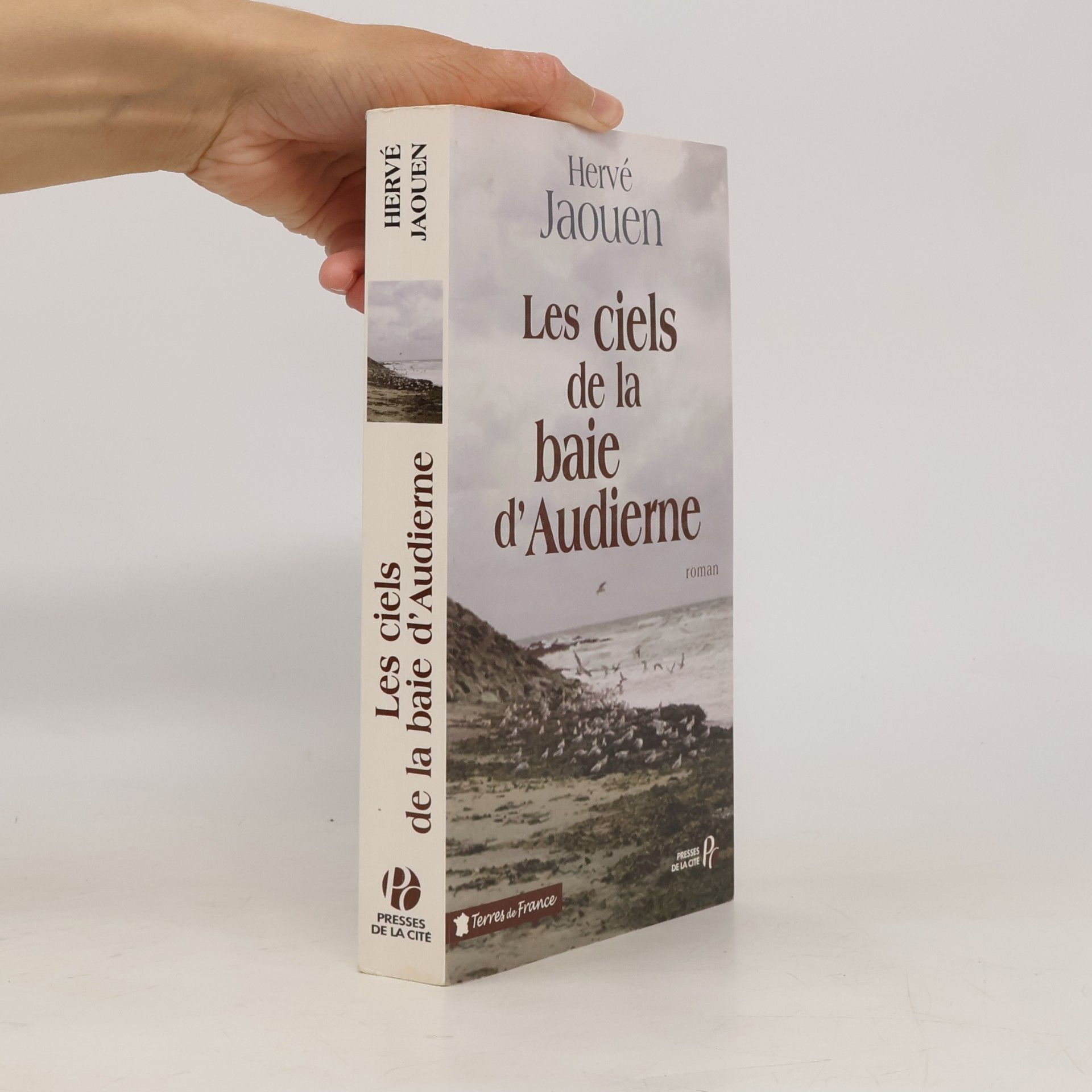 Herve Jaouen Les ciels de la baie d'Audierne