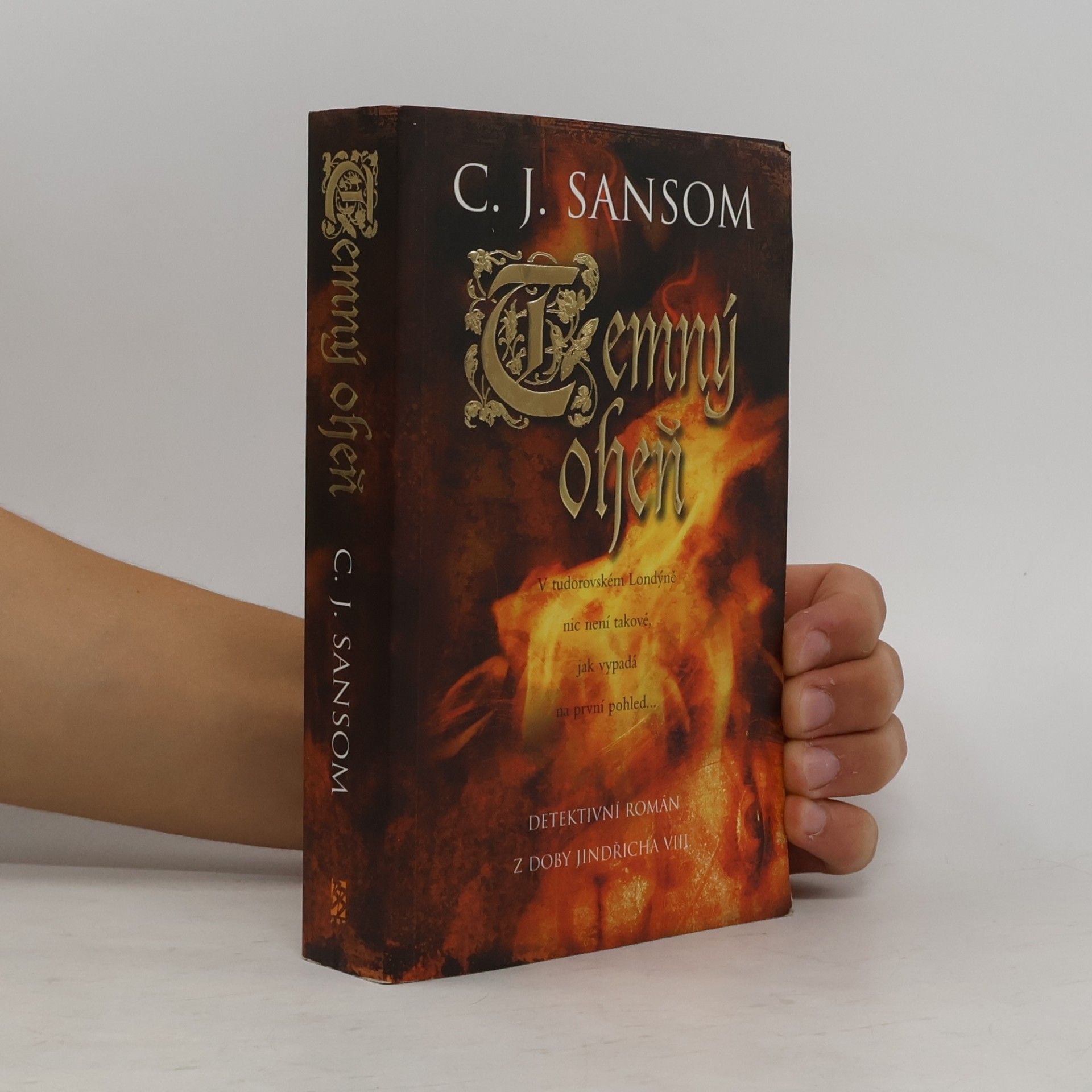 Christopher John Sansom Temný oheň
